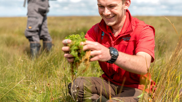 Ranger holding sphagnum moss