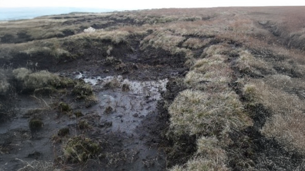 Eroding gully sides, Holcombe Moor