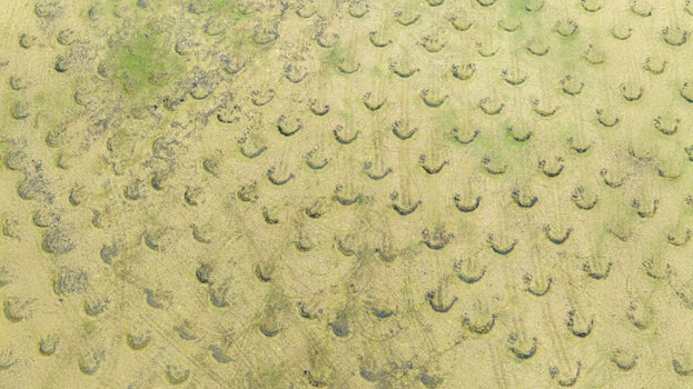 Aerial view of peat bunds holding water on Holcombe Moor