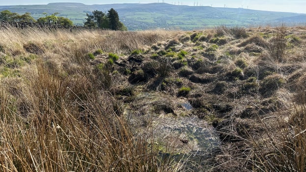 Earth dam to hold water back