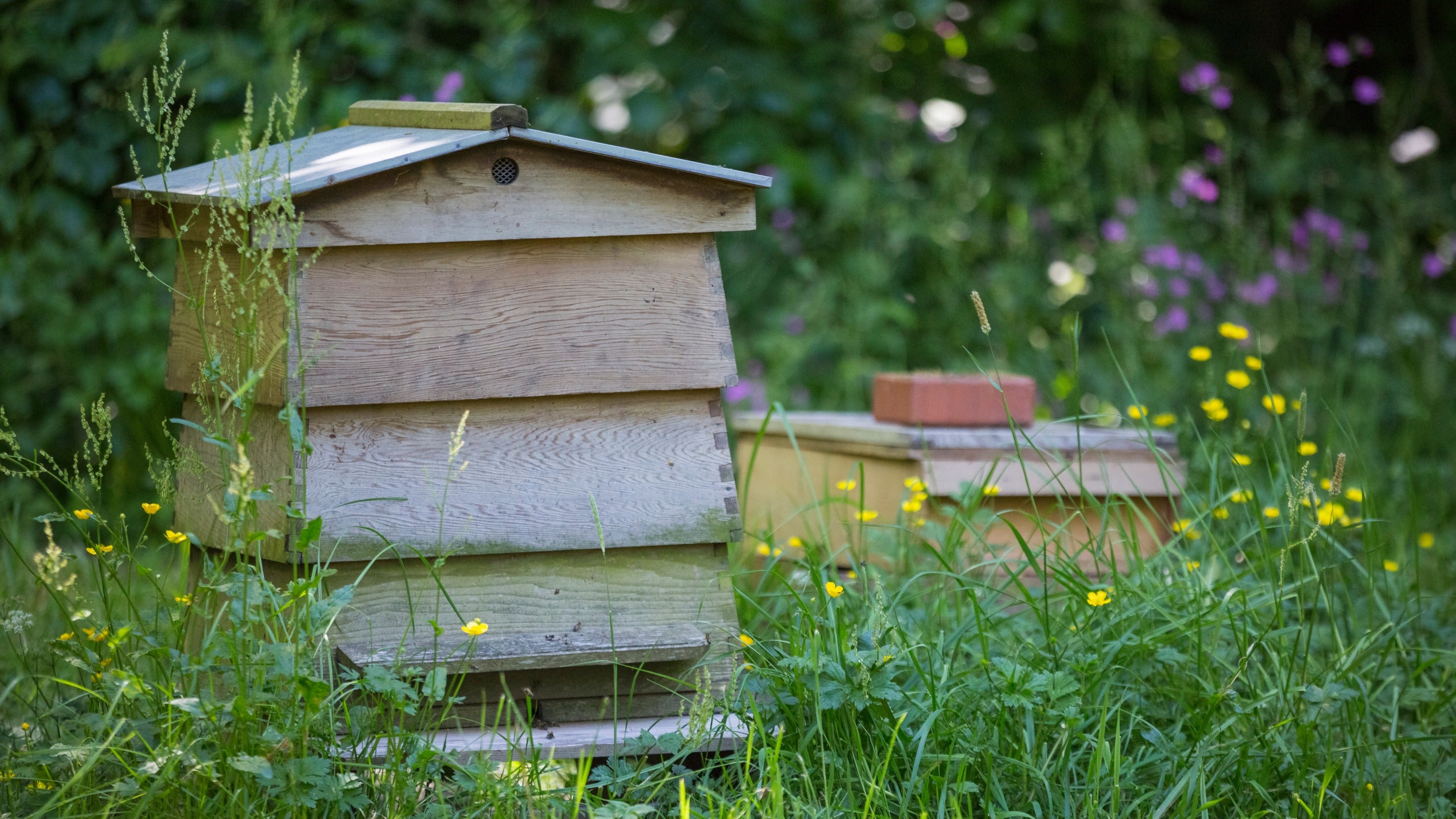 Beehive in the garden at Rufford Old Hall, Lancashire