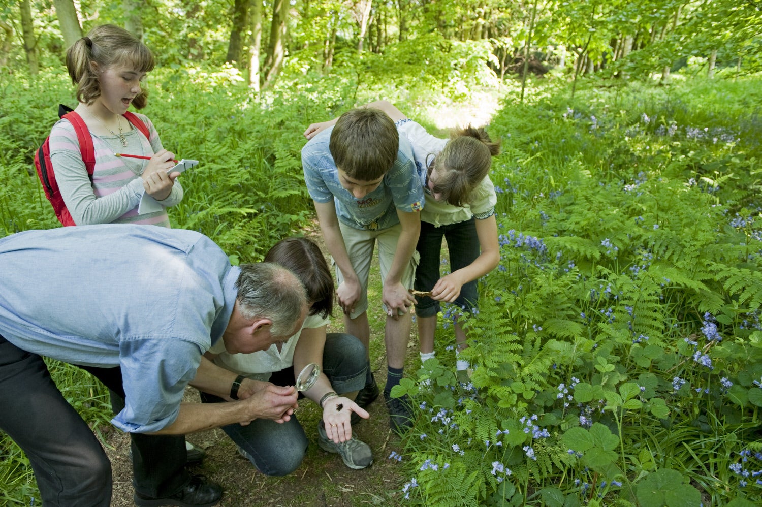Image shows visitors bug-hunting in the garden at Speke Hall, Liverpool