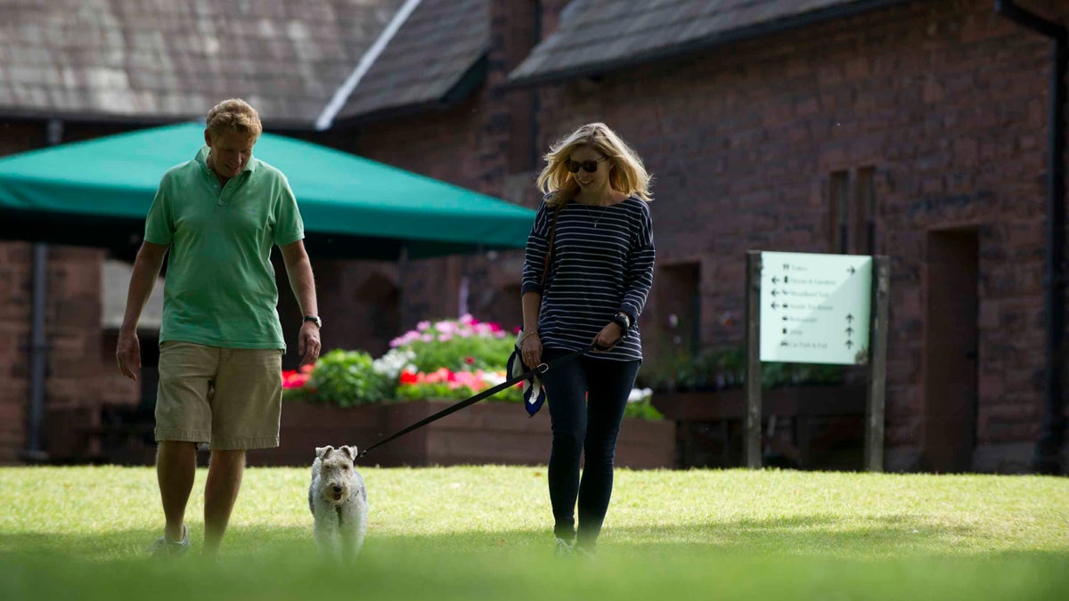 Dog walking at Speke Hall │ Liverpool National Trust