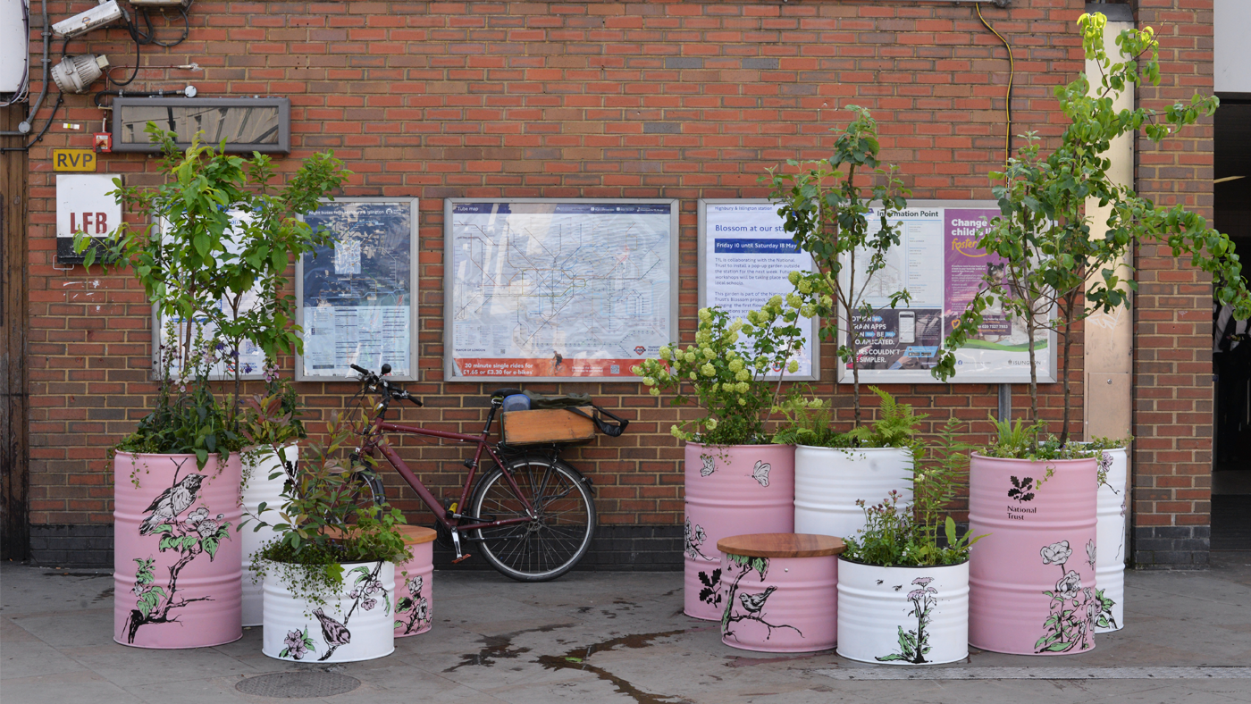 Pop up blossom garden at Highbury and Islington