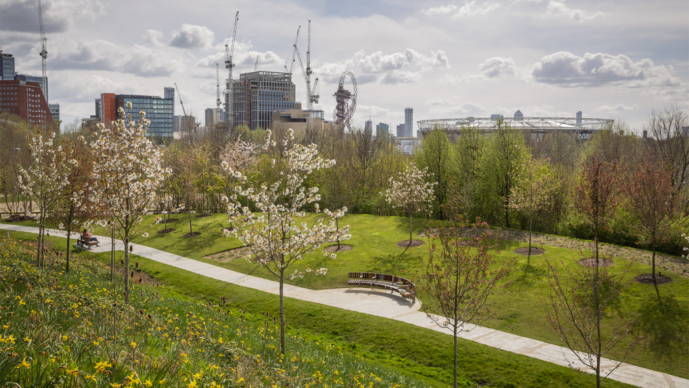 Blossom trees flowering in the foreground, with the Queen Elizabeth Olympic Park in the background