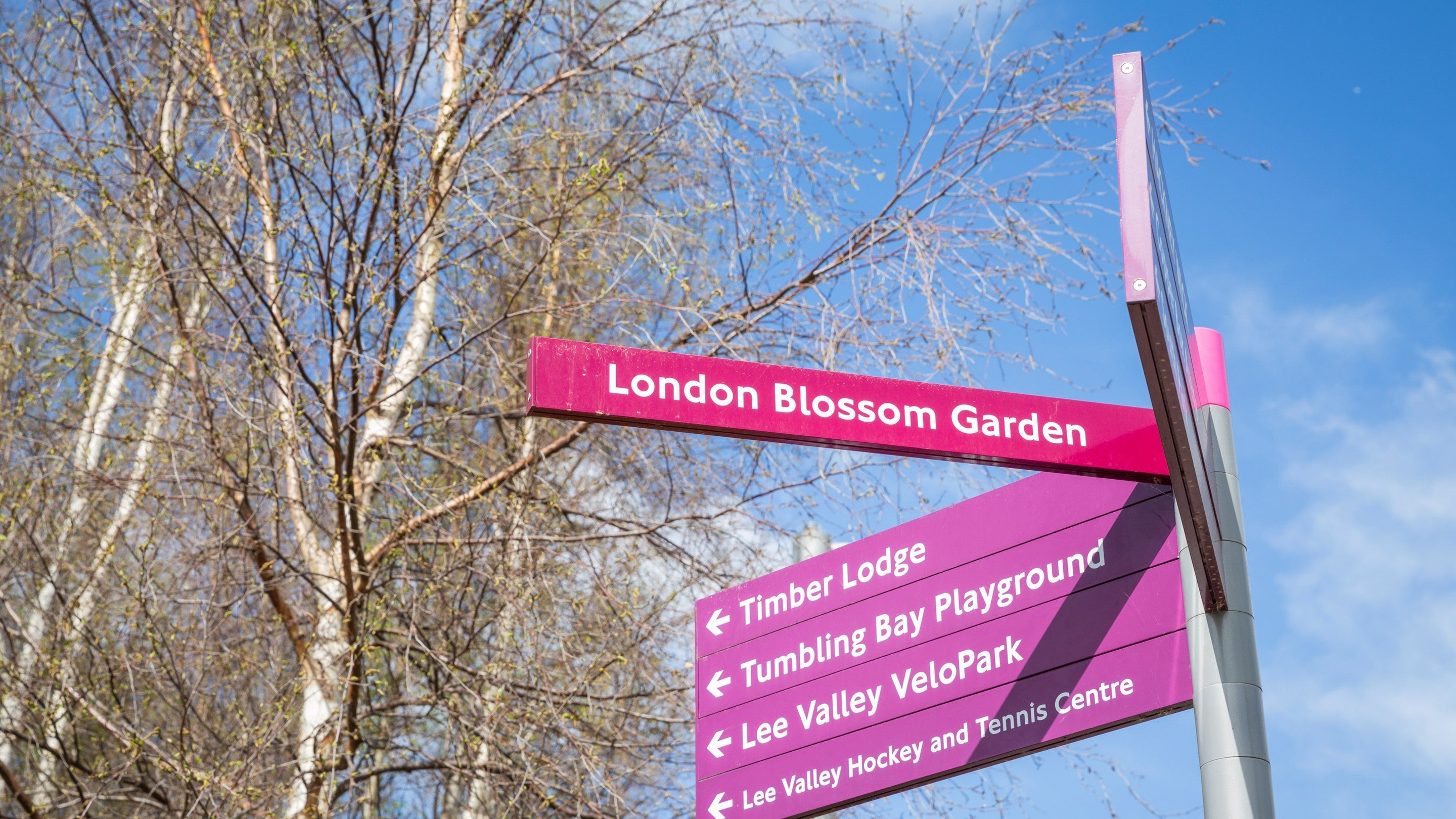 Pink sign reading 'London Blossom Garden'. Blue sky in background with silver birch tree with no leaves.