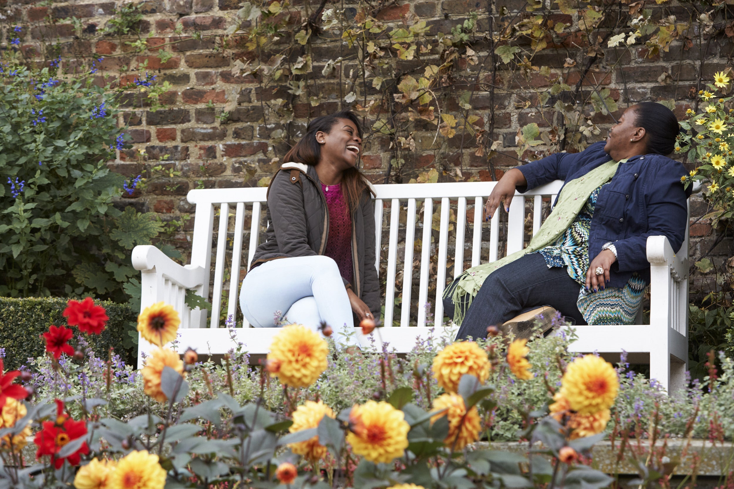 Two visitors sitting on a white bench laughing in the garden at Fenton House and Garden, with a bed of dahlias visible in the foreground and a brick wall with climbing plants behind the visitors.