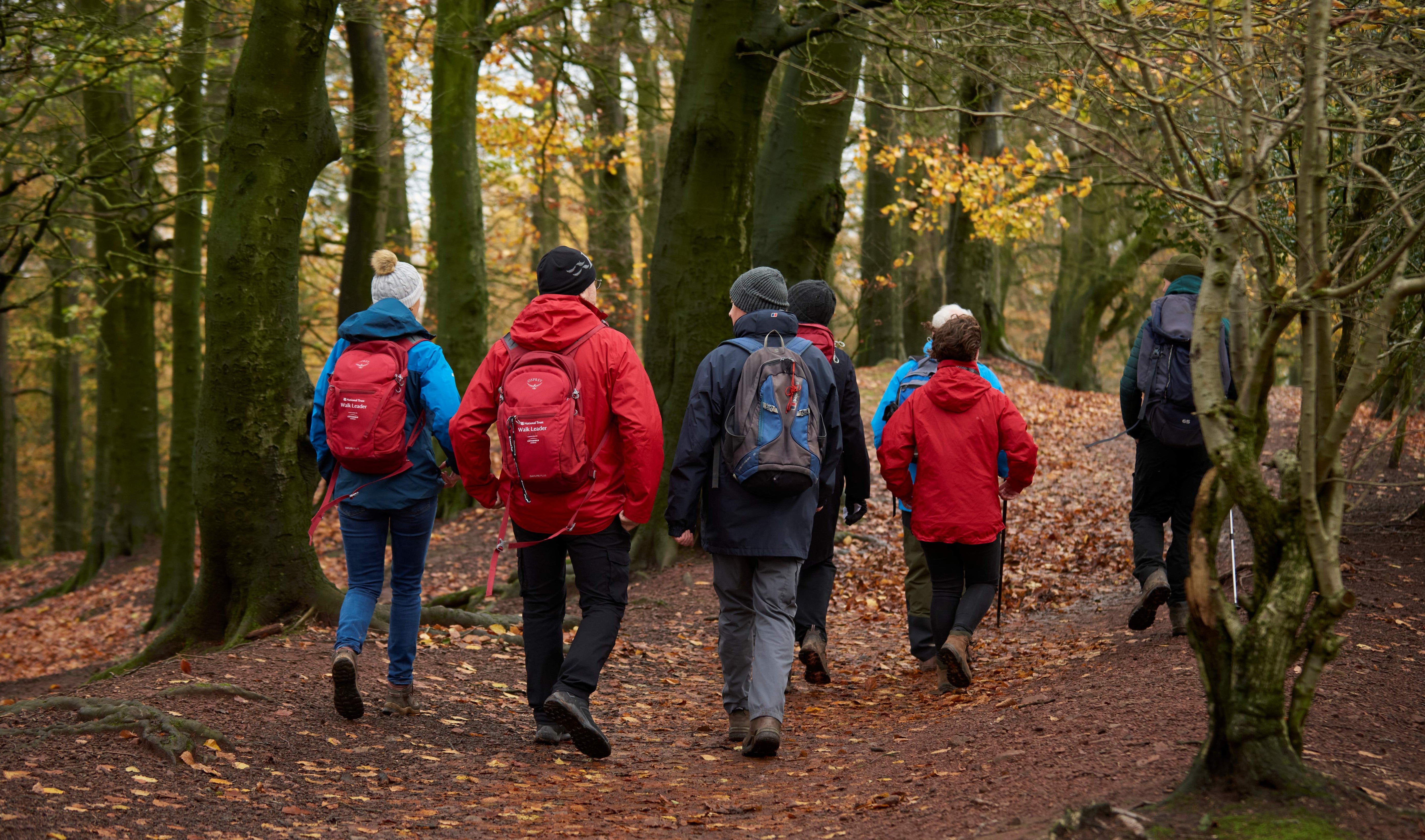 Volunteers leading a guided walk in nature