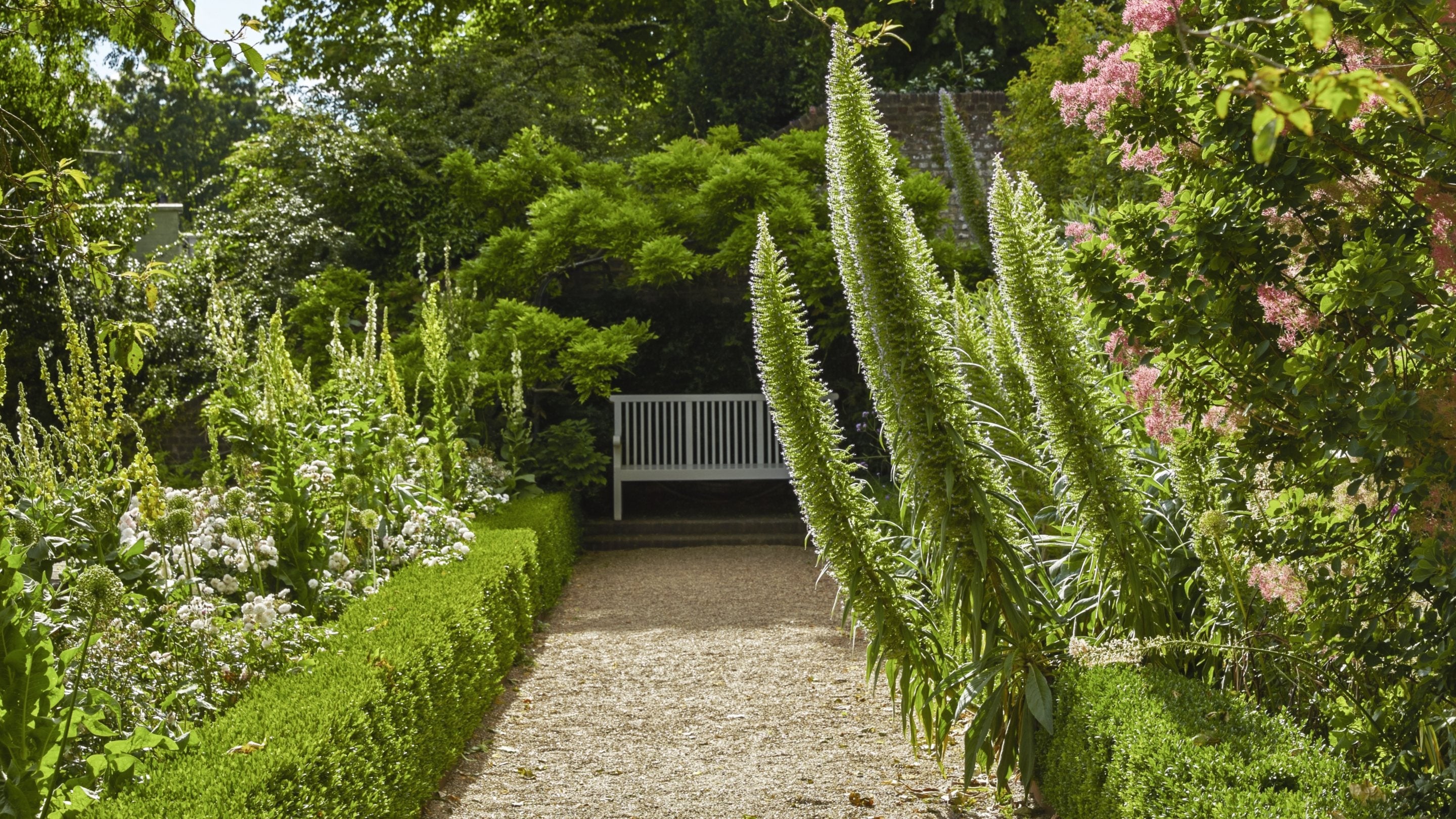 The garden at Fenton House and Garden, London