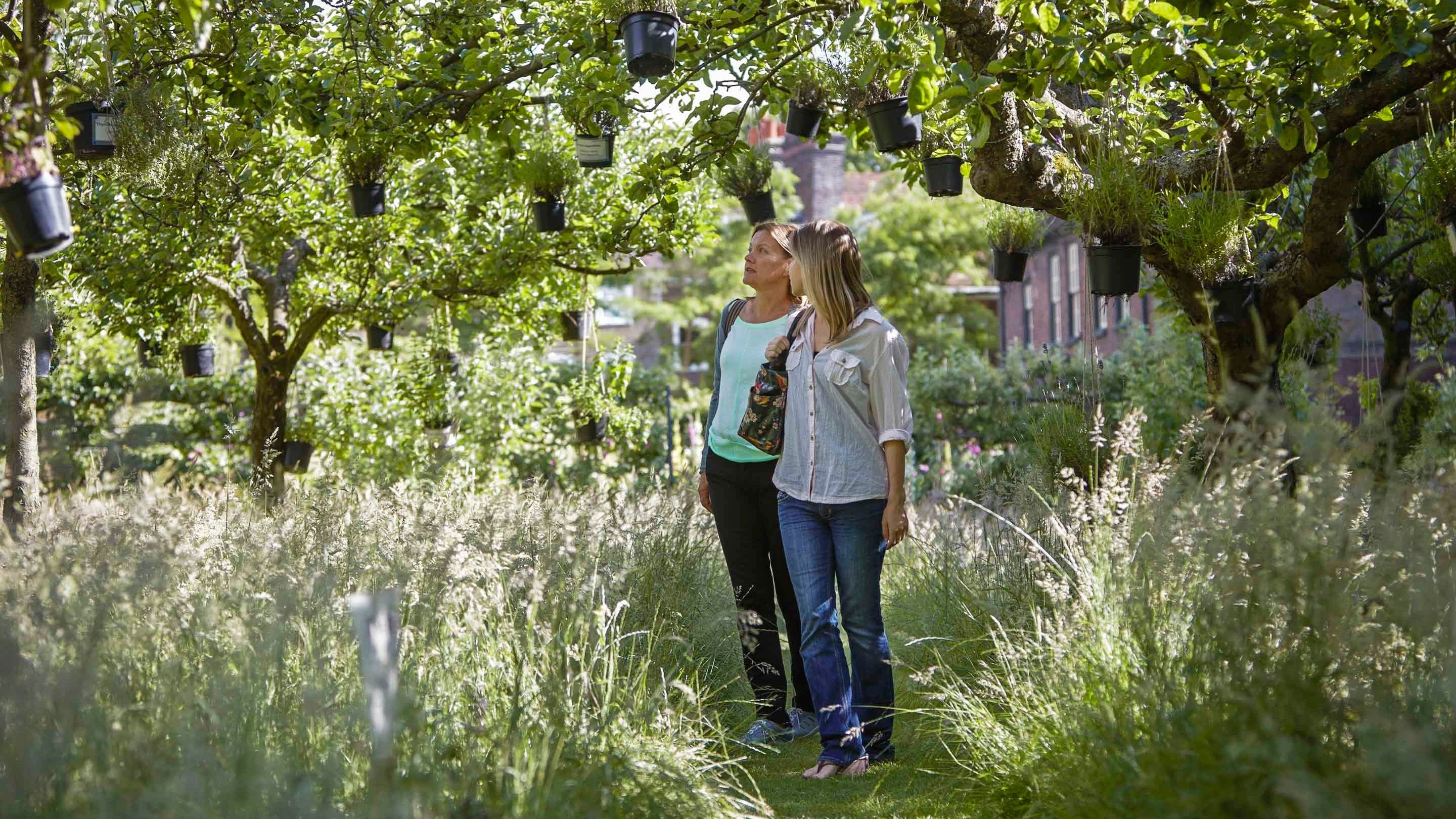 Visitors in the garden at Fenton House, London