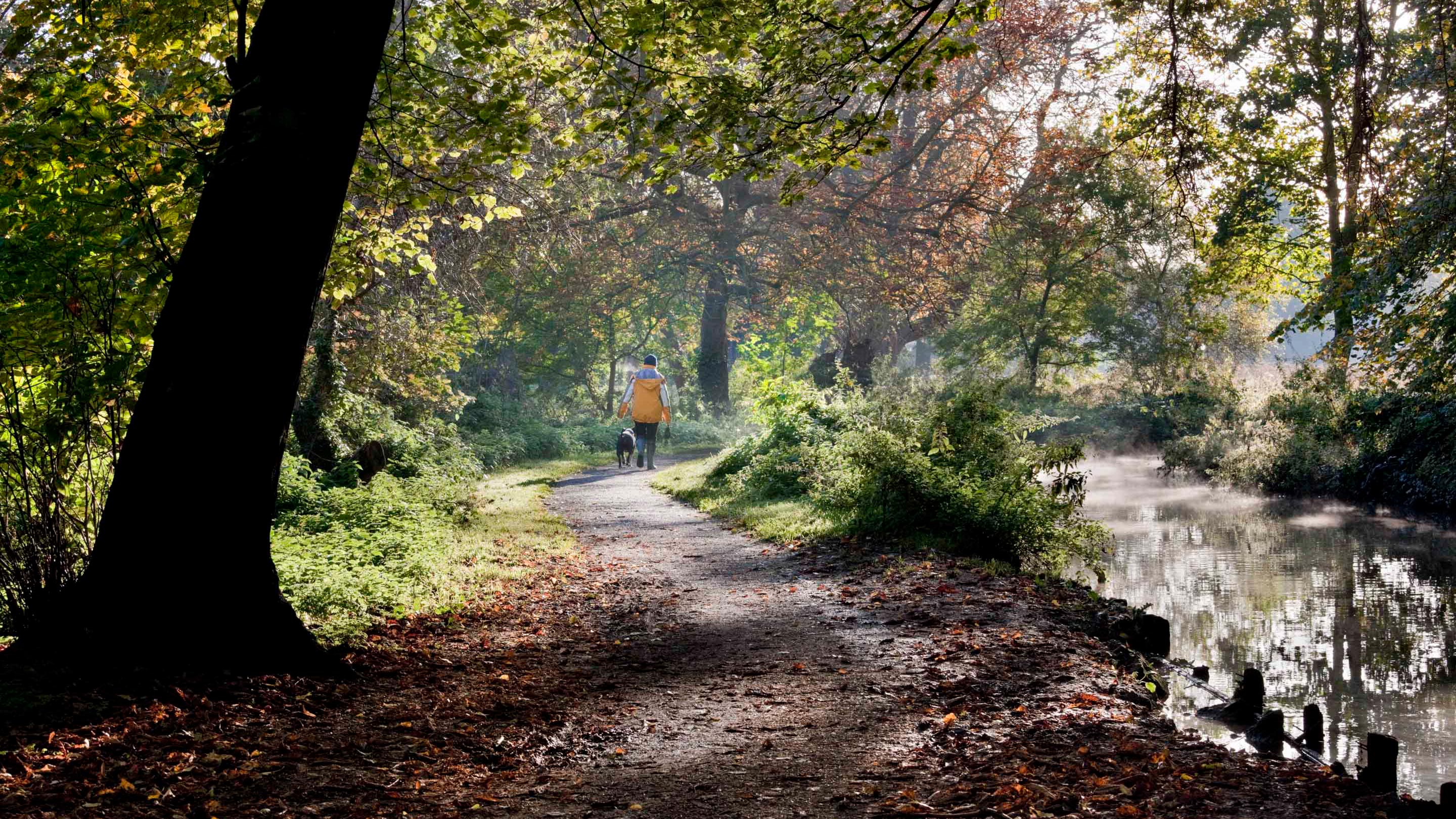 Visitor walking a dog by the River Wandle in Morden Hall Park, London.