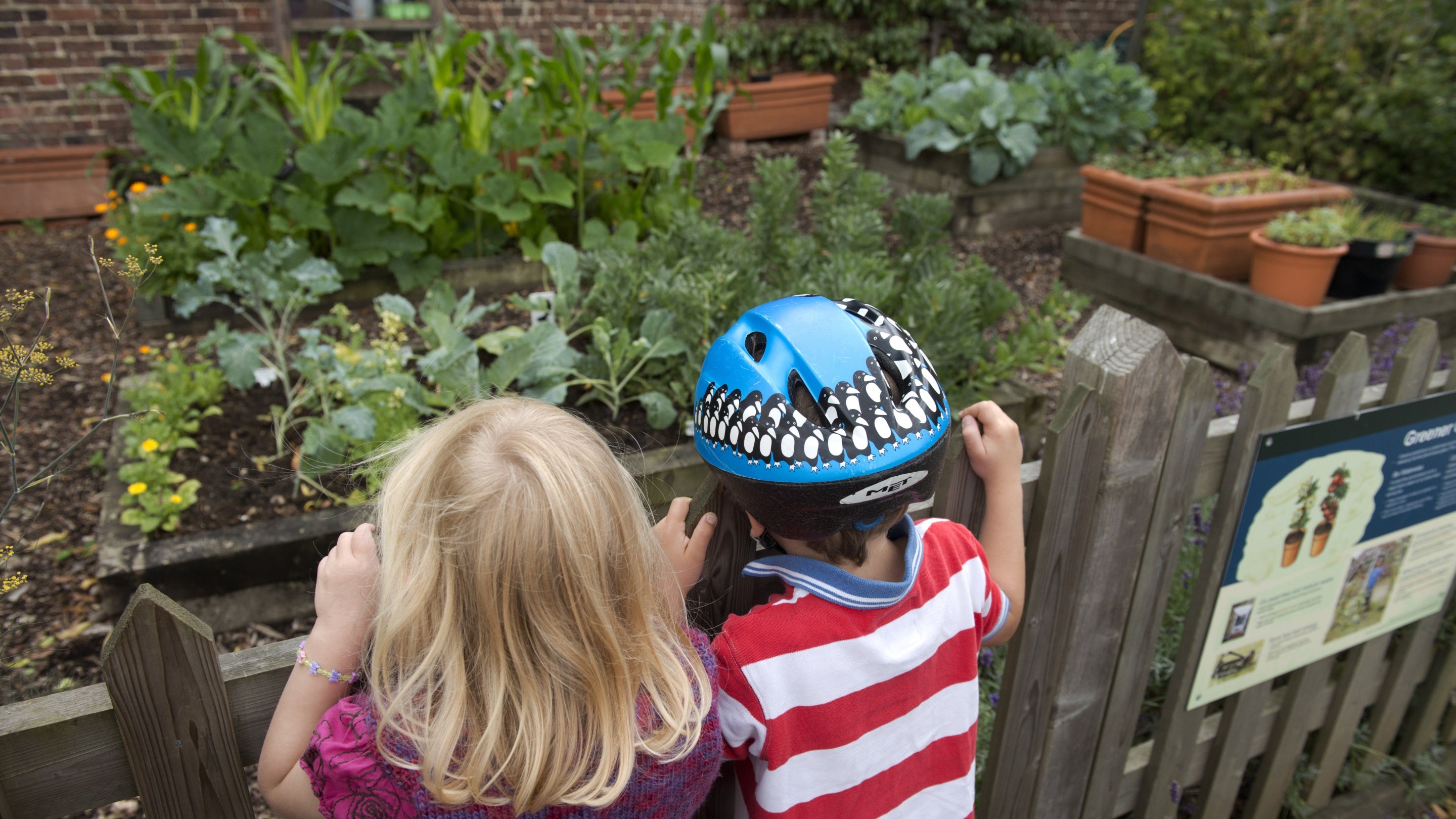Two children, one wearing a bike helmet, look over a fence into the community garden at Morden Hall Park in London