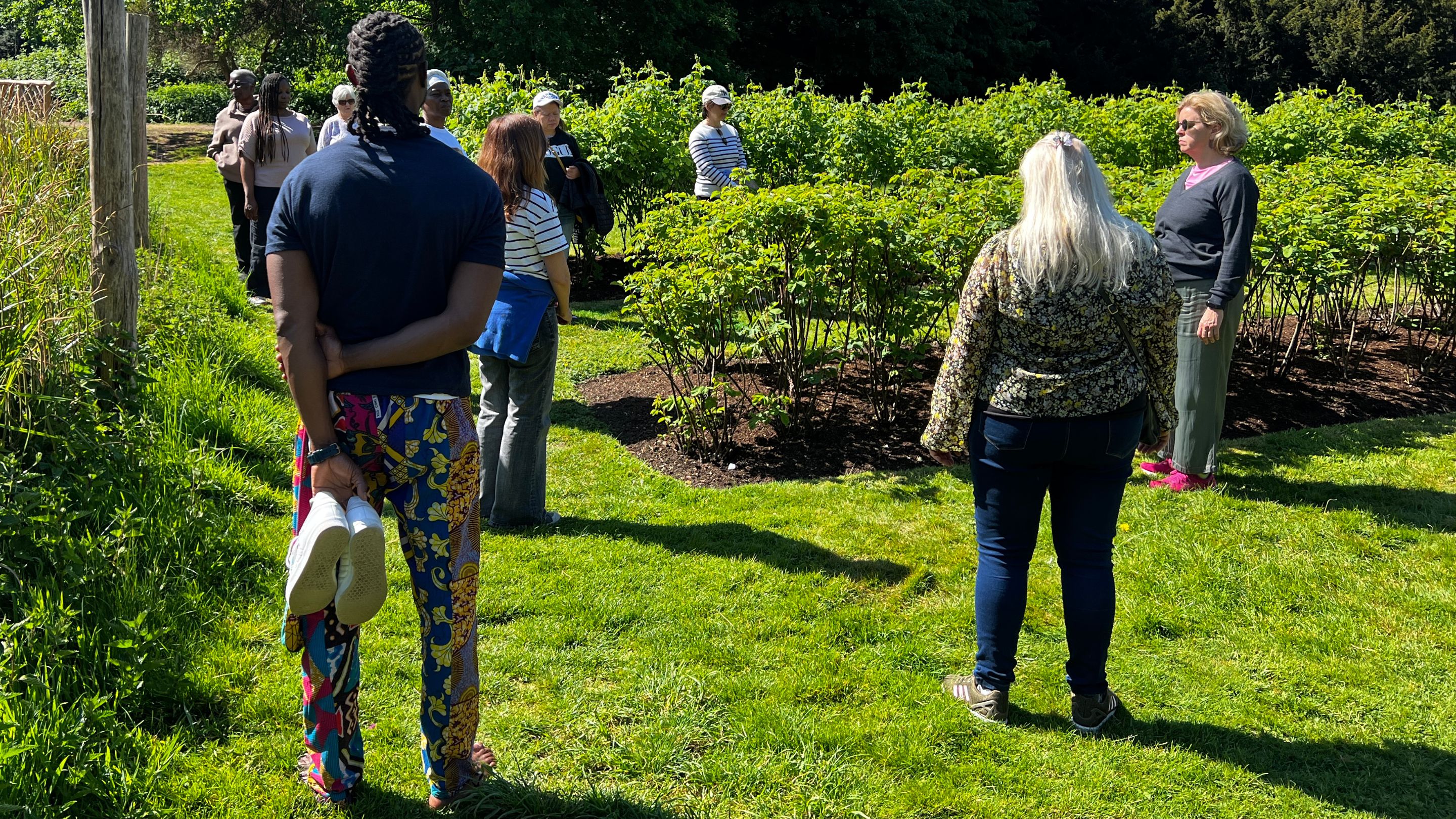 A group of people standing around a Rose bush, in the foreground is a person holding a pair of white trainers with his bare feet on the lawn. It is a bright sunny day and the grass look very green.