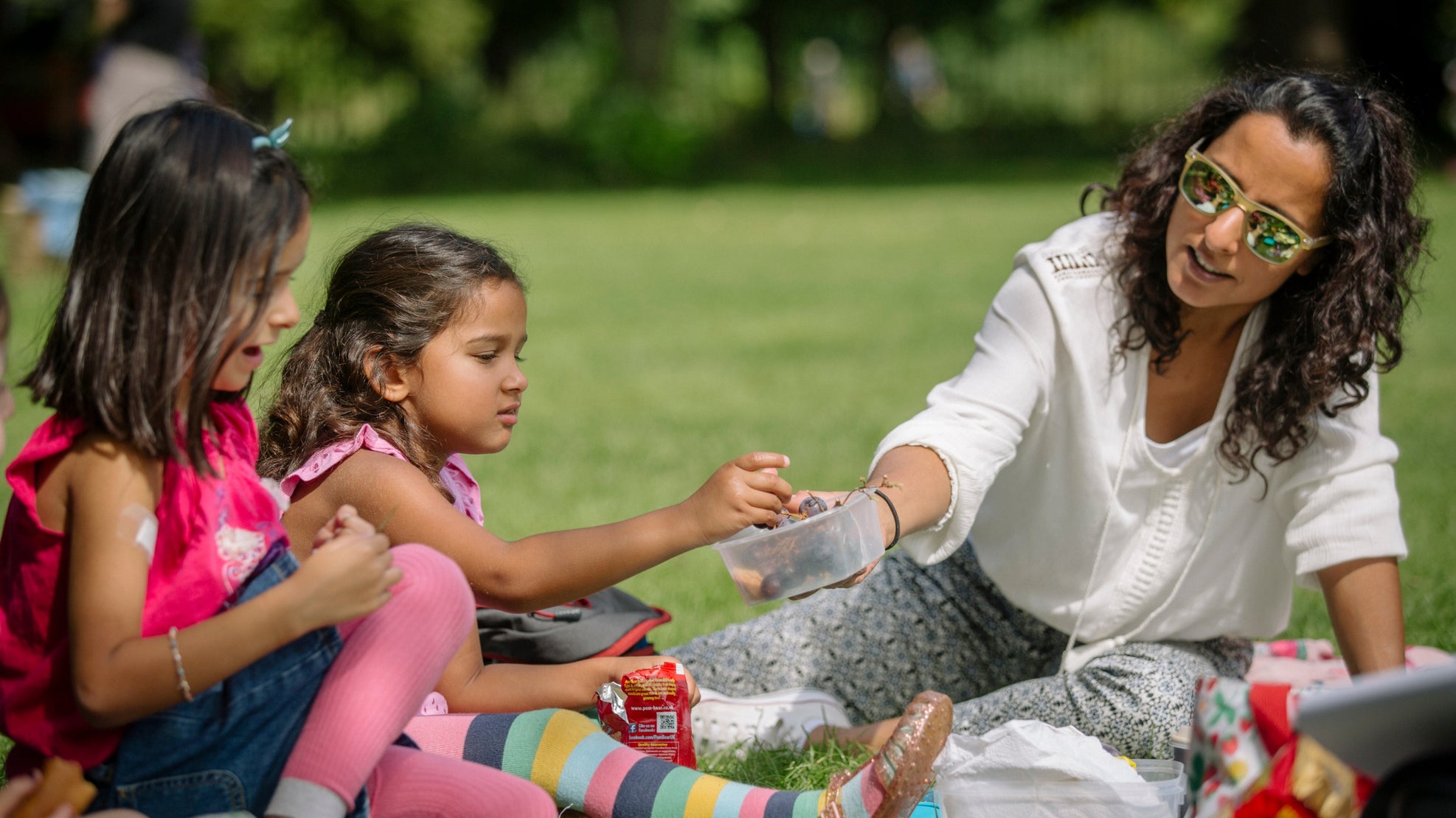 Visitors enjoying a summer picnic at Morden Hall Park, London