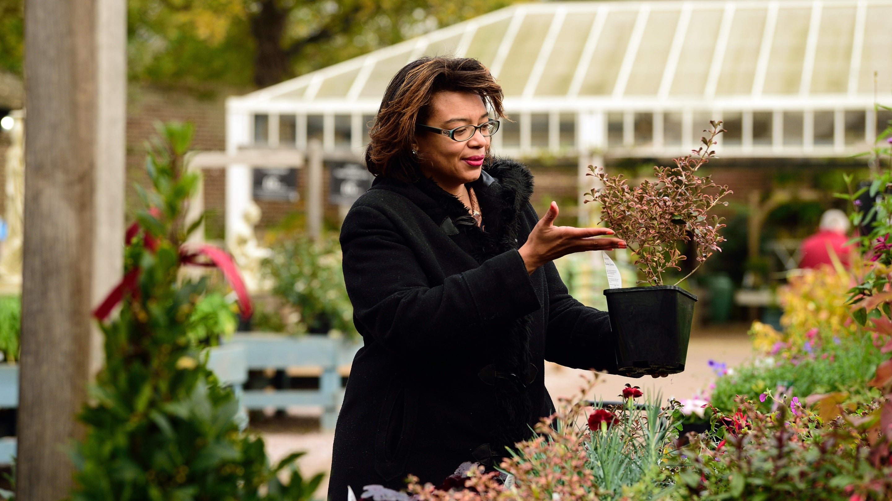 A woman holds and inspects a potted shrub in a garden centre