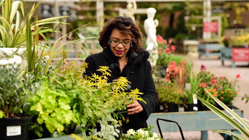 Visitor browsing in the Garden Centre at Morden Hall Park, London