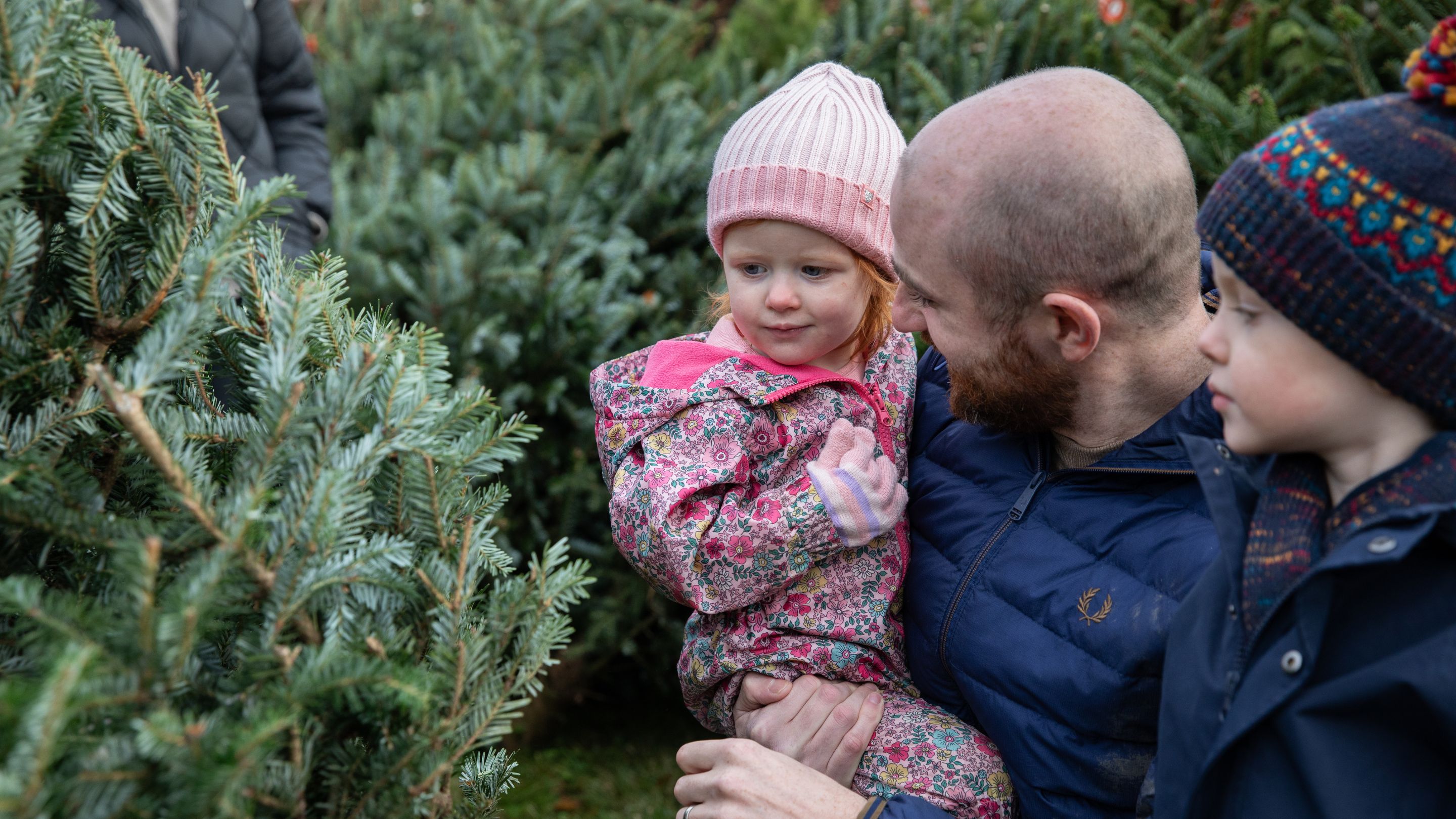 A male parent with two children looking at a Christmas tree to buy