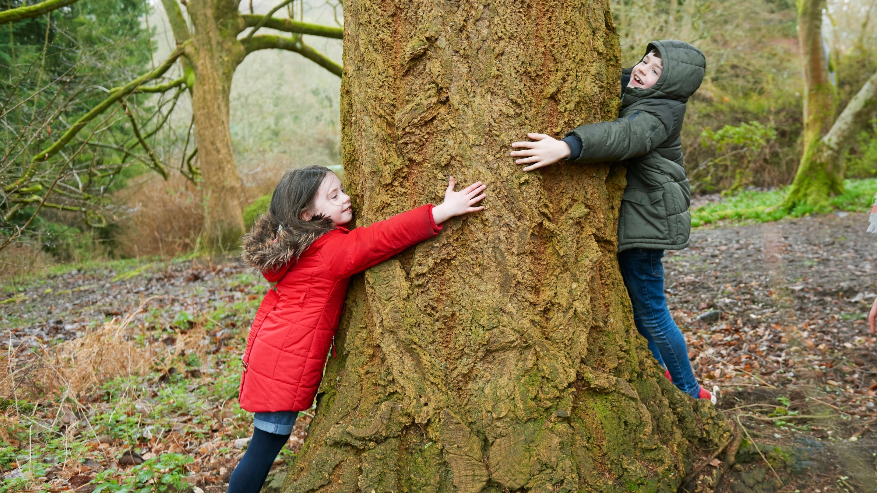 Two children hugging a tree in a woodland setting