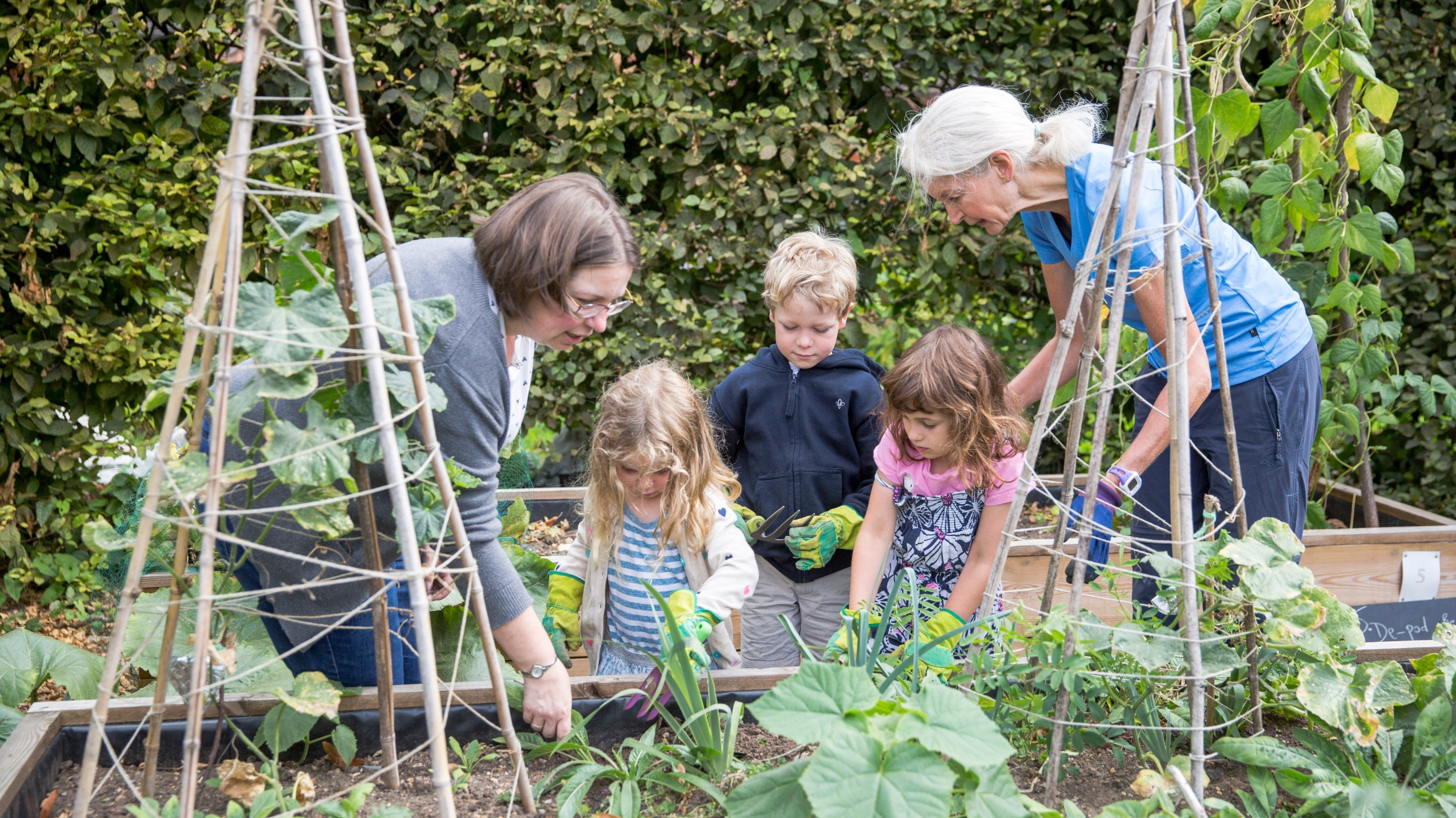 Visitors taking part in gardening activities in the kitchen garden at Osterley Park, London