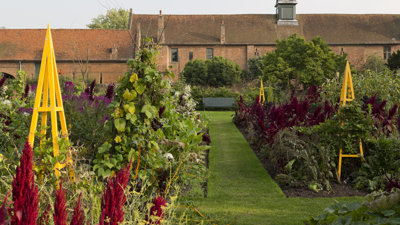 The Ornamental Vegetable Garden at Osterley Park and House, Middlesex, in September, with the Stables seen in the background. There are some purple amaranth plants in the foreground, against a backdrop of bright yellow cone shaped plant supports.