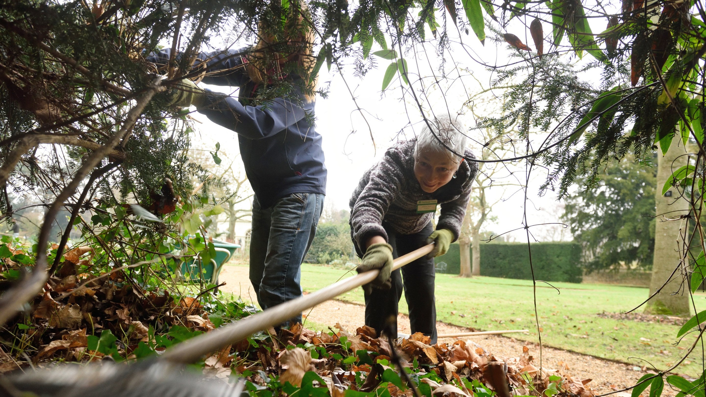 Garden volunteers work raking leaves and pruning branches at Osterley Park and House, London