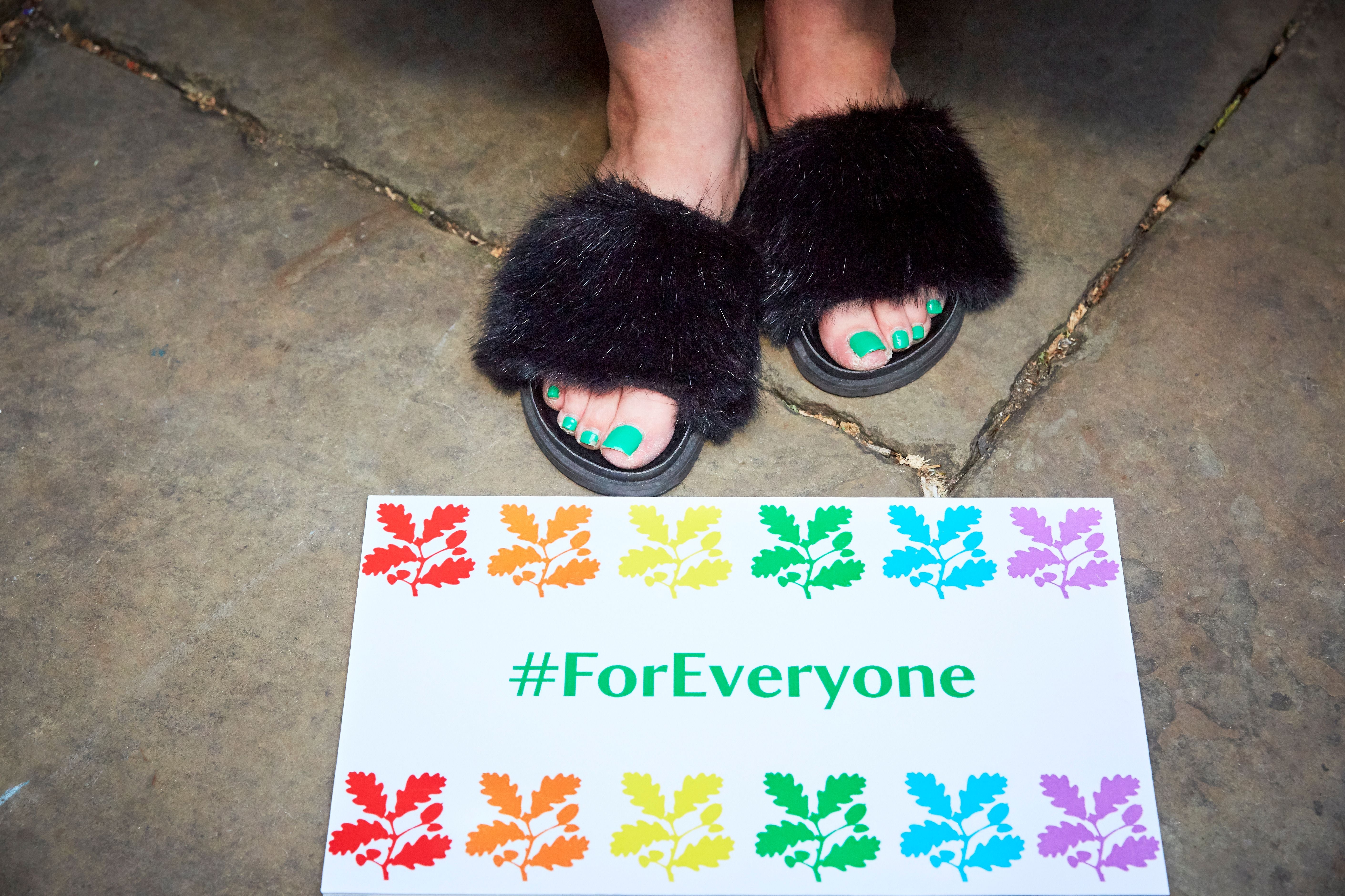 Rainbow Everyone Welcome Sign with Shoes