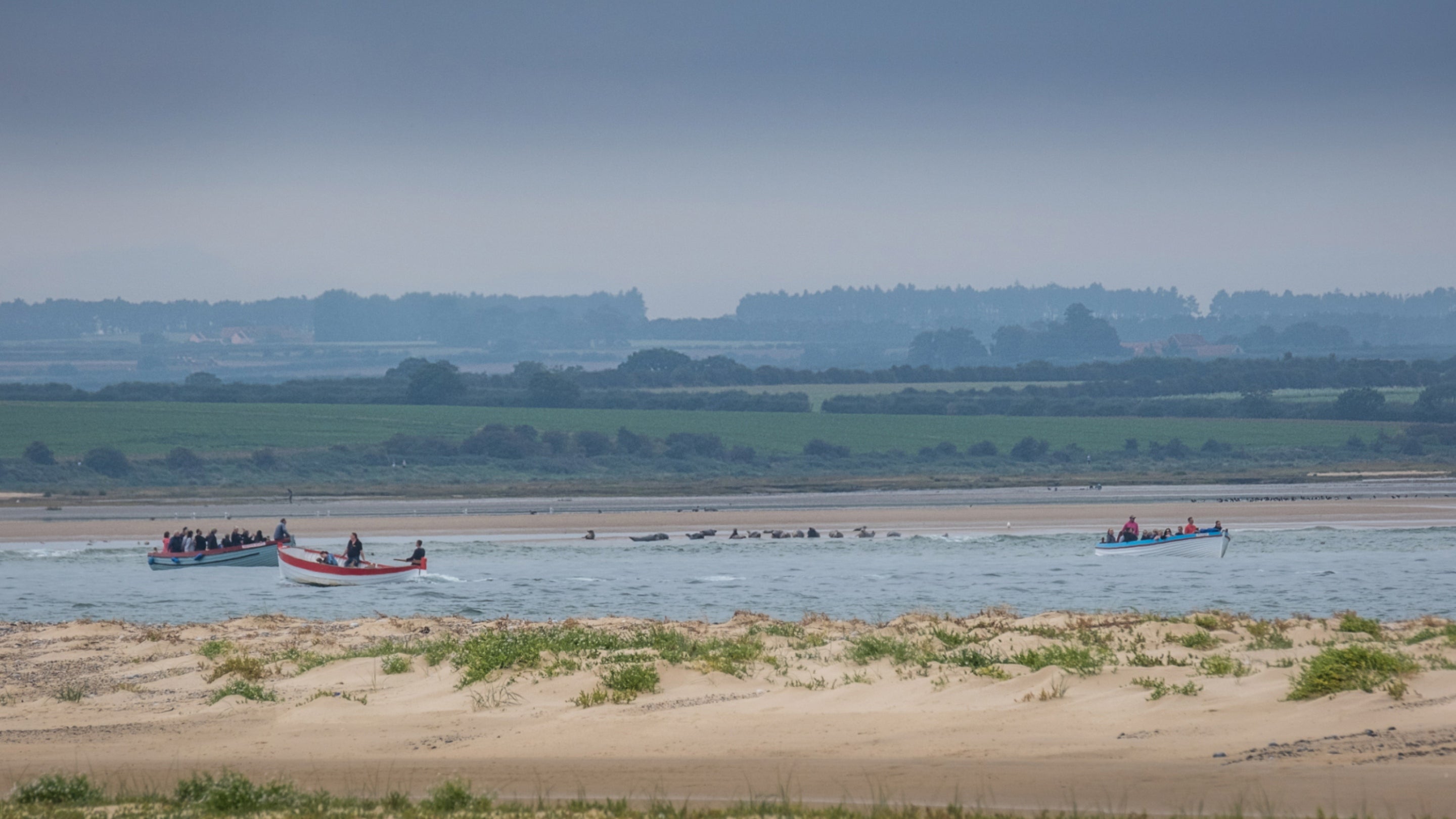 Boats observe seals from a distance at Blakeney Point in Norfolk