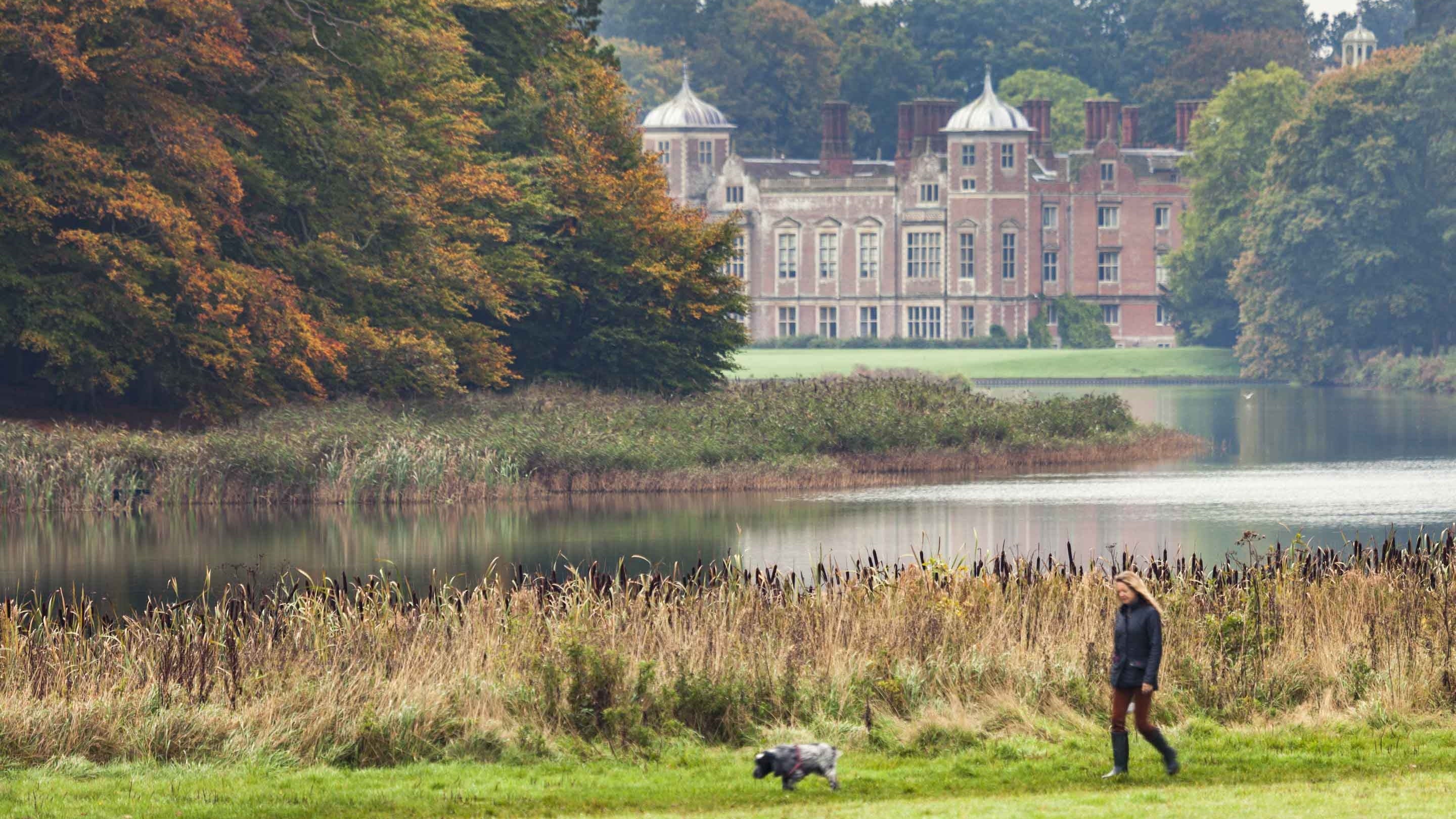A visitor walking her dog in autumn at Blickling Estate, Norfolk