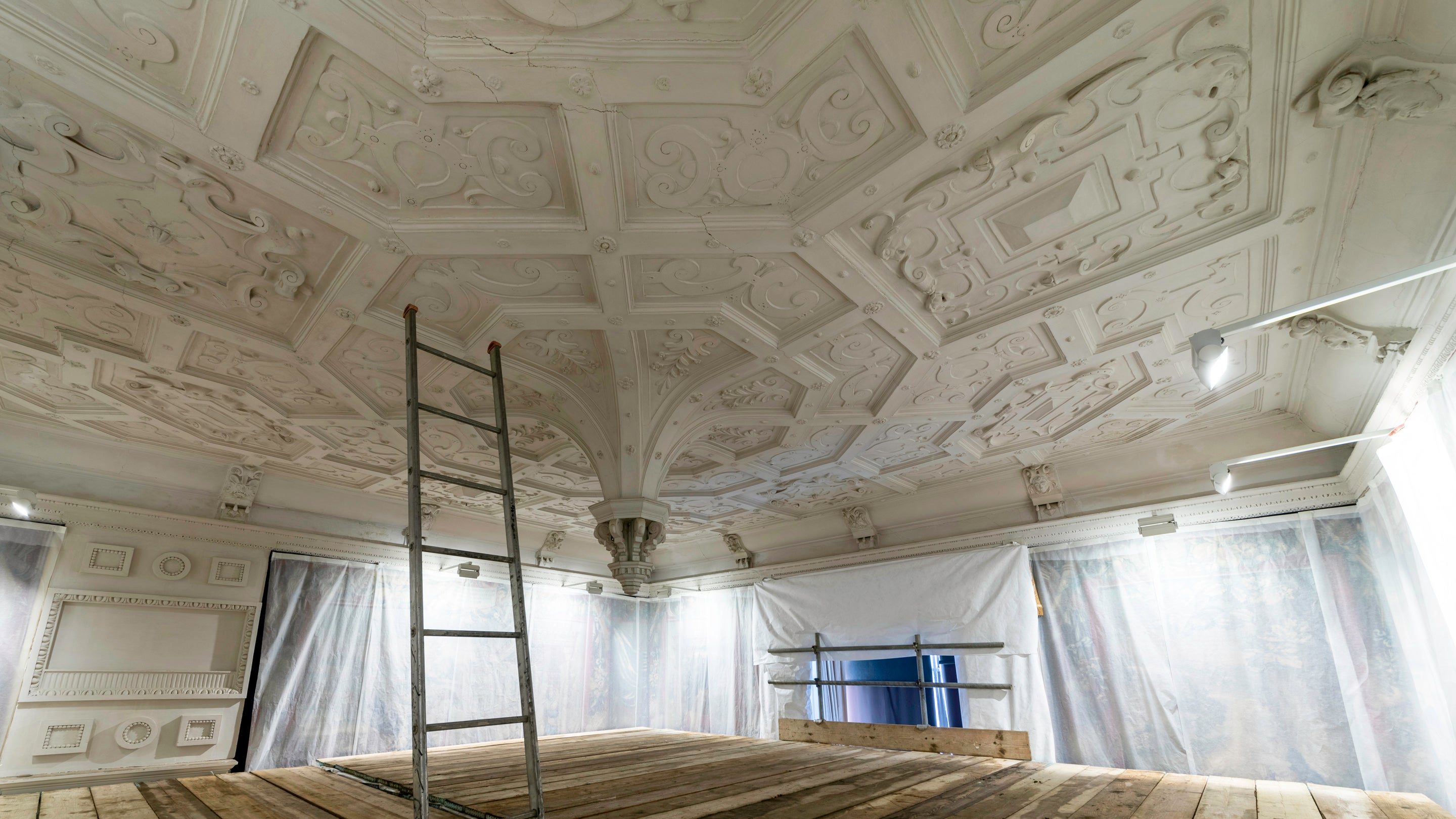 The Upper Ante Ceiling Project, Blickling