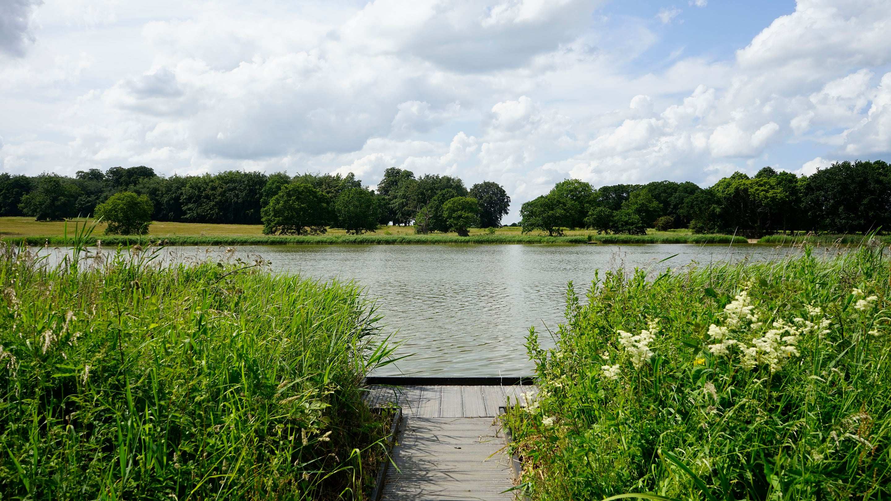A fishing Platform on Blickling Lake, Norfolk