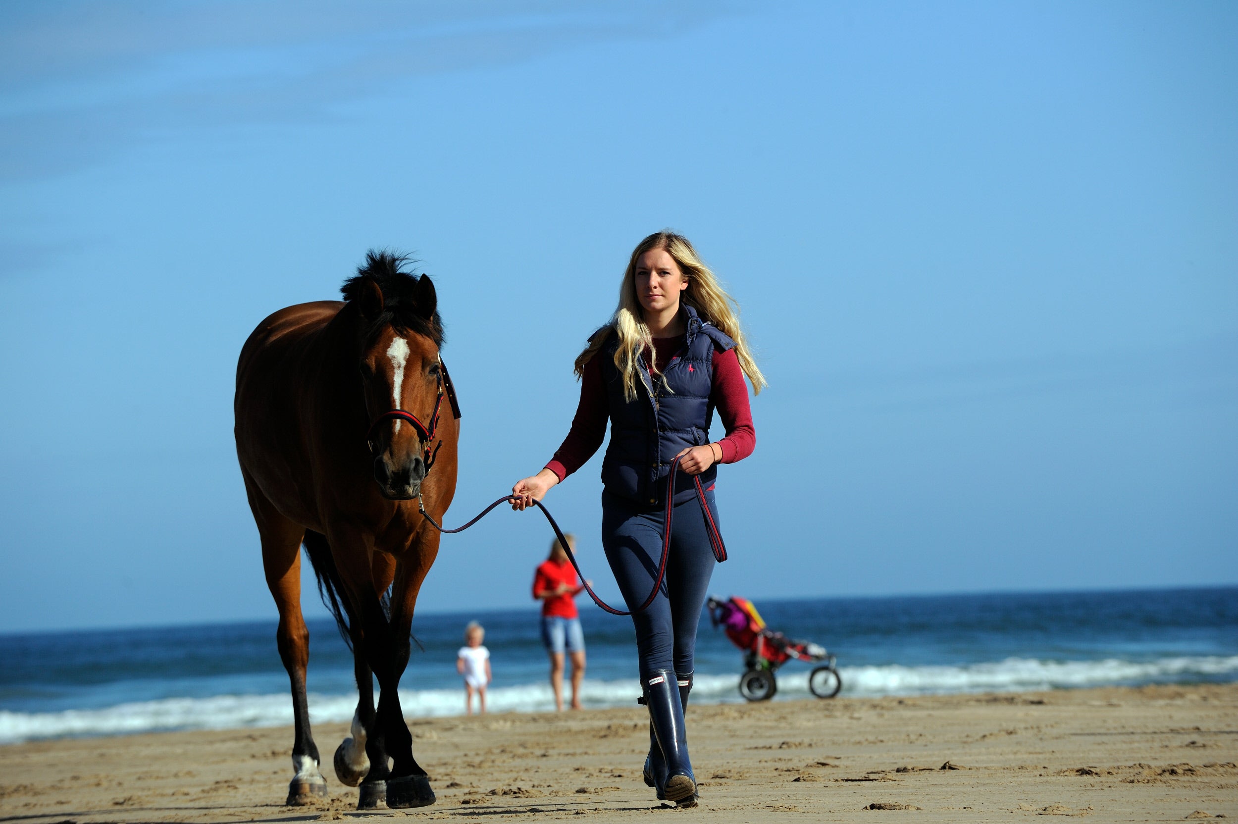 Horse and rider on beach.