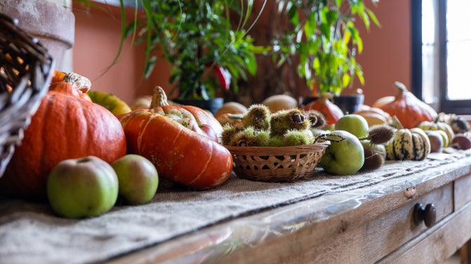 The Hall decorated for harvest with apples and squash on a table at Felbrigg Hall, Gardens and Estate, Norfolk
