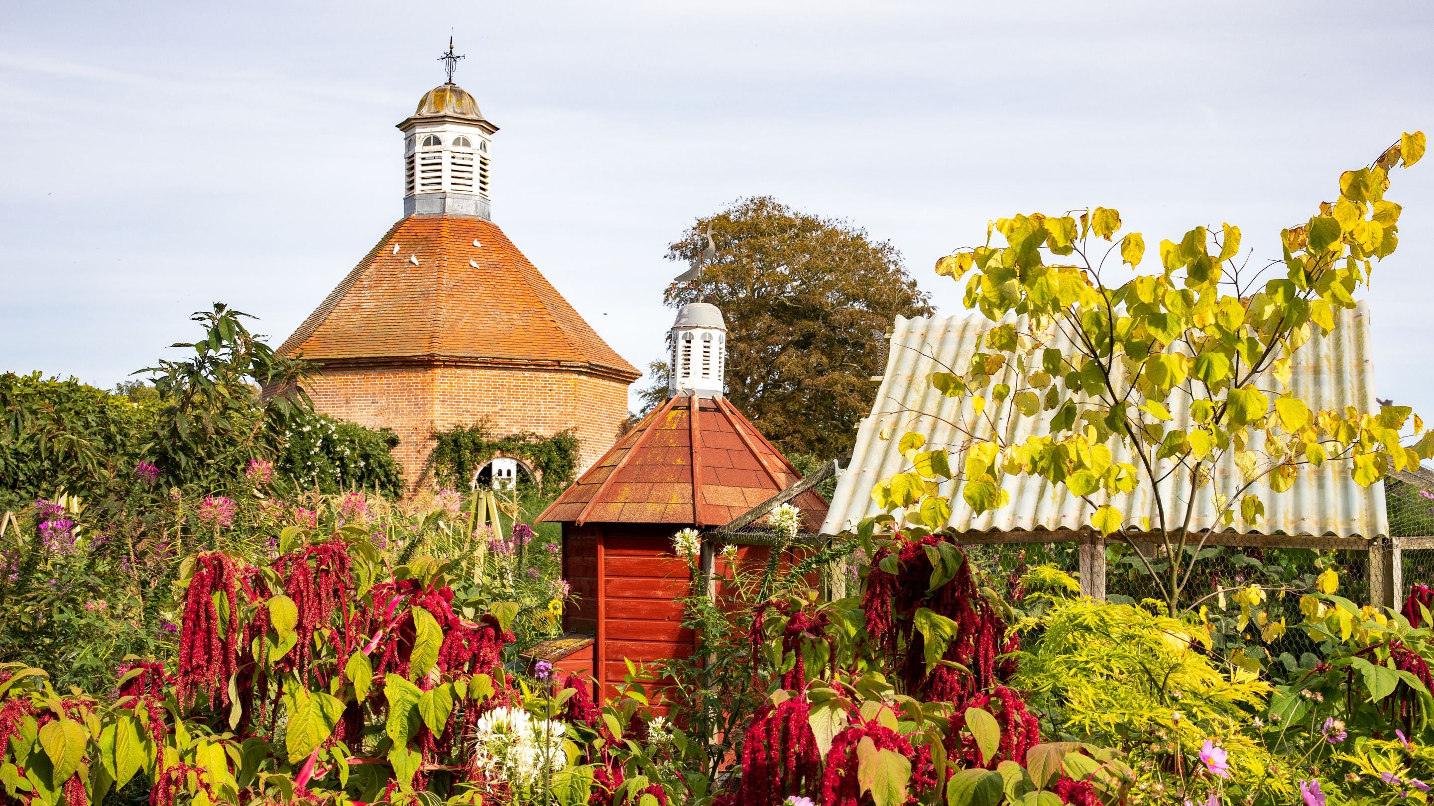 Autumn colour in Felbrigg’s Walled Garden, with flowering plants, garden buildings and historic brick architecture.
