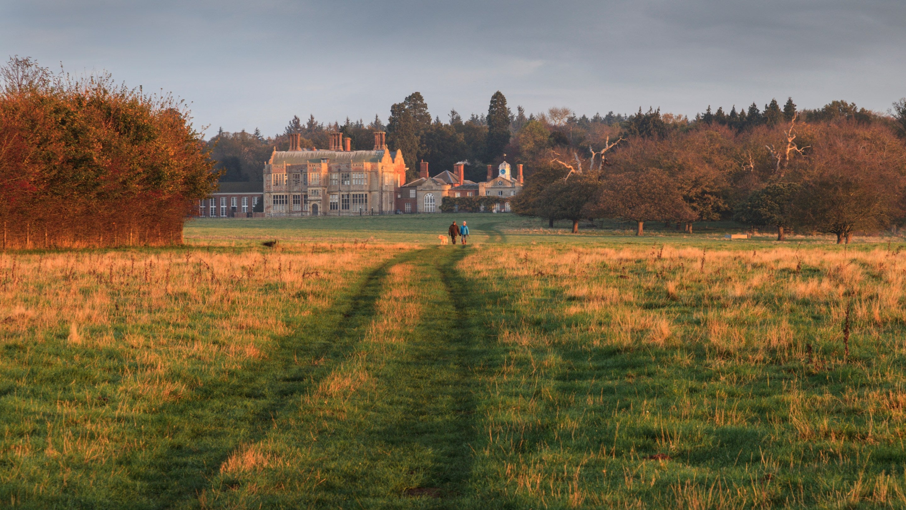 People walking through the grounds at sunset at Felbrigg Hall, Norfolk. Two people and a dog walk along the path across open meadowland. Autumn-coloured trees frame the scene, and the building is lit by warm sunlight beneath a cloudy sky.