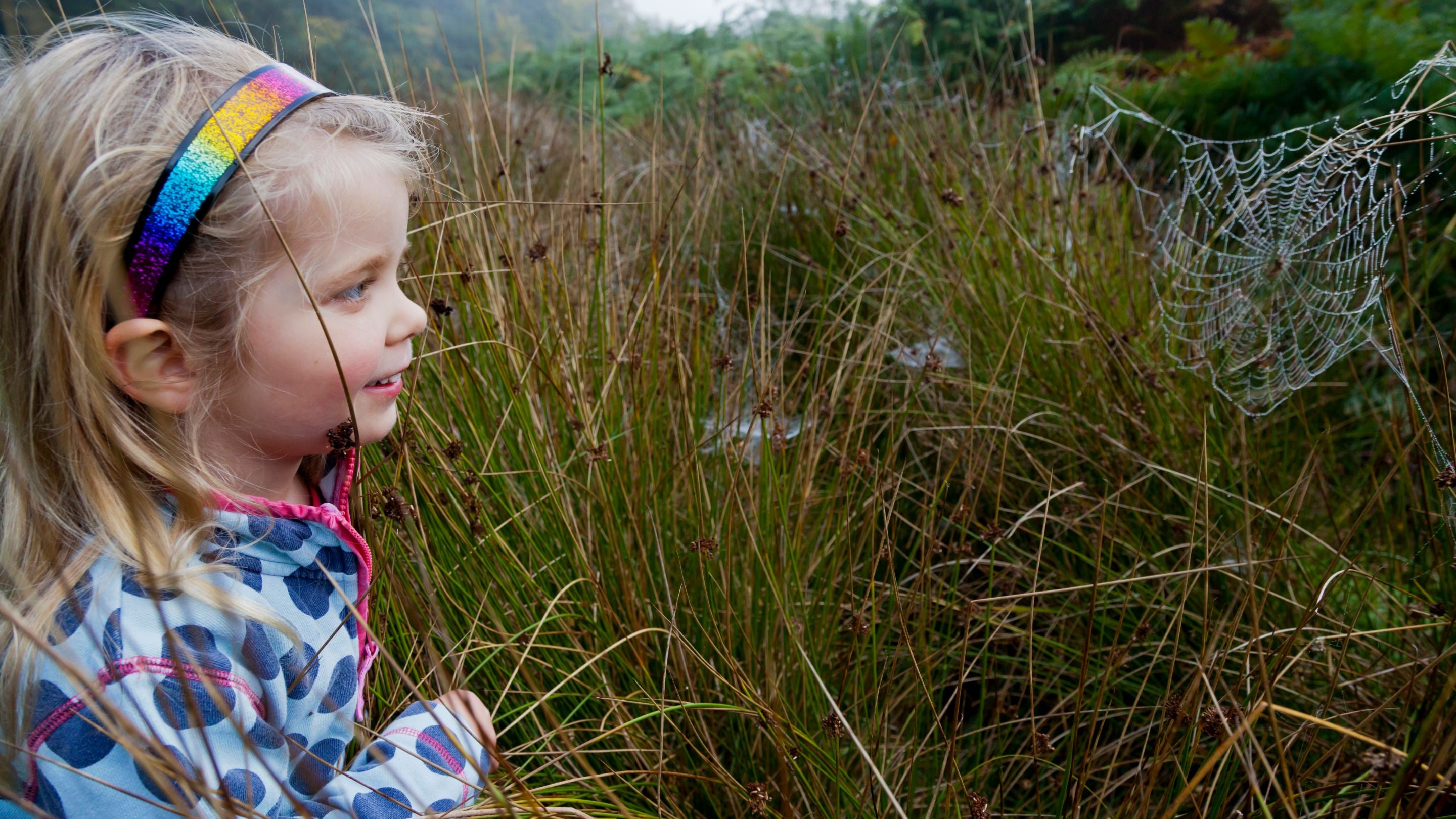 A child looks at a dew-covered spider web among tall grasses on a misty autumn morning.