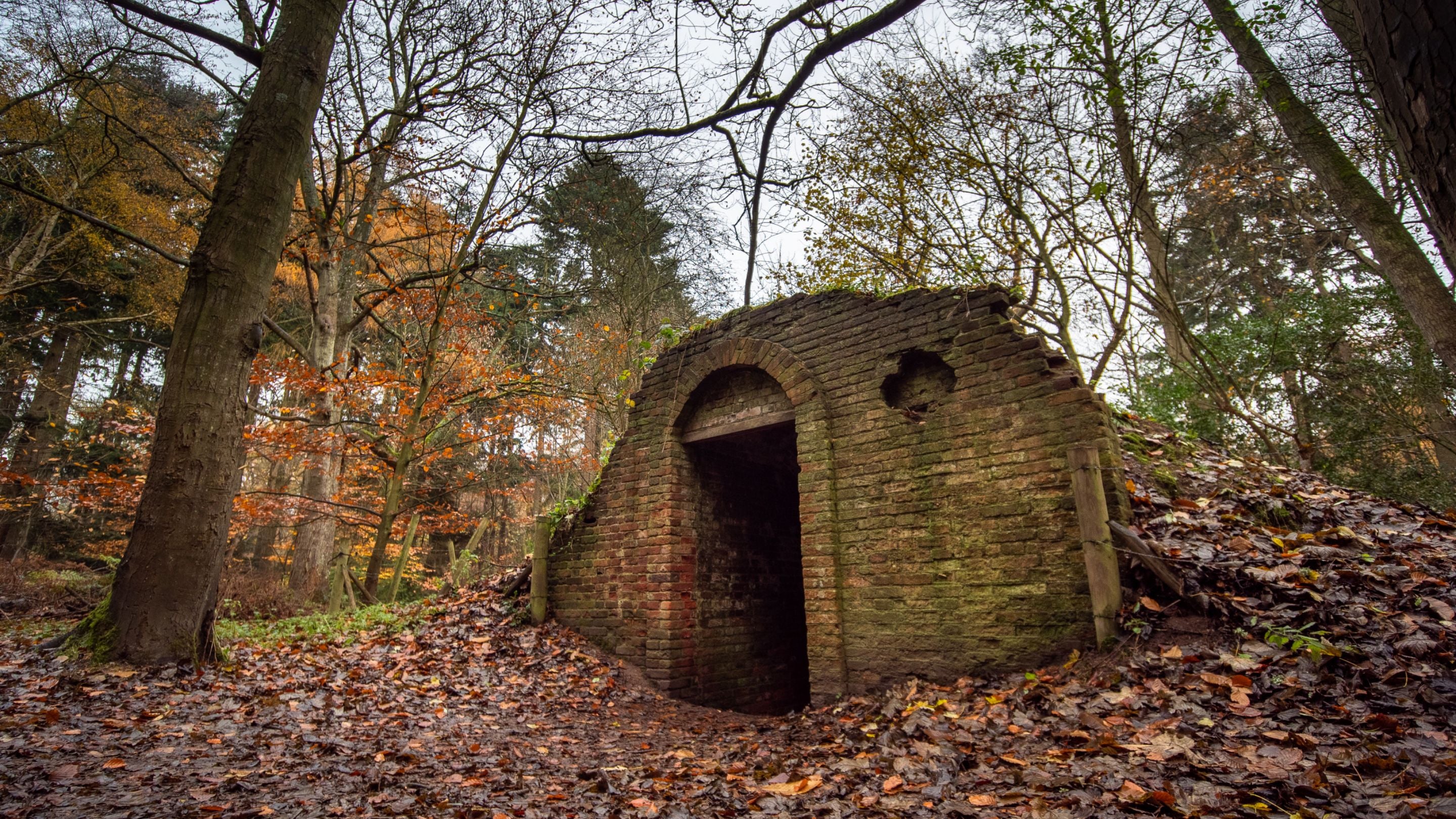 The Ice House in the Great Wood surrounded by fallen autumn leaves. It was built with bricks in the 18th century to look like a ruin.