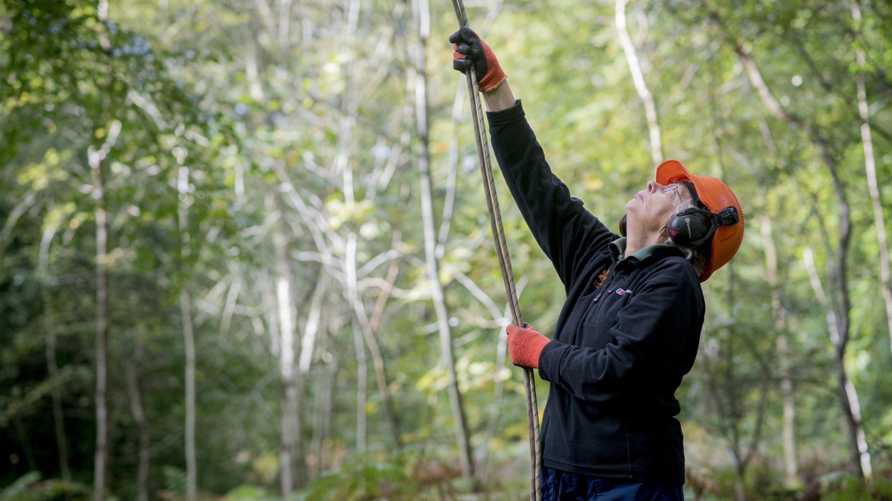 Volunteer collecting seeds on the Felbrigg Estate