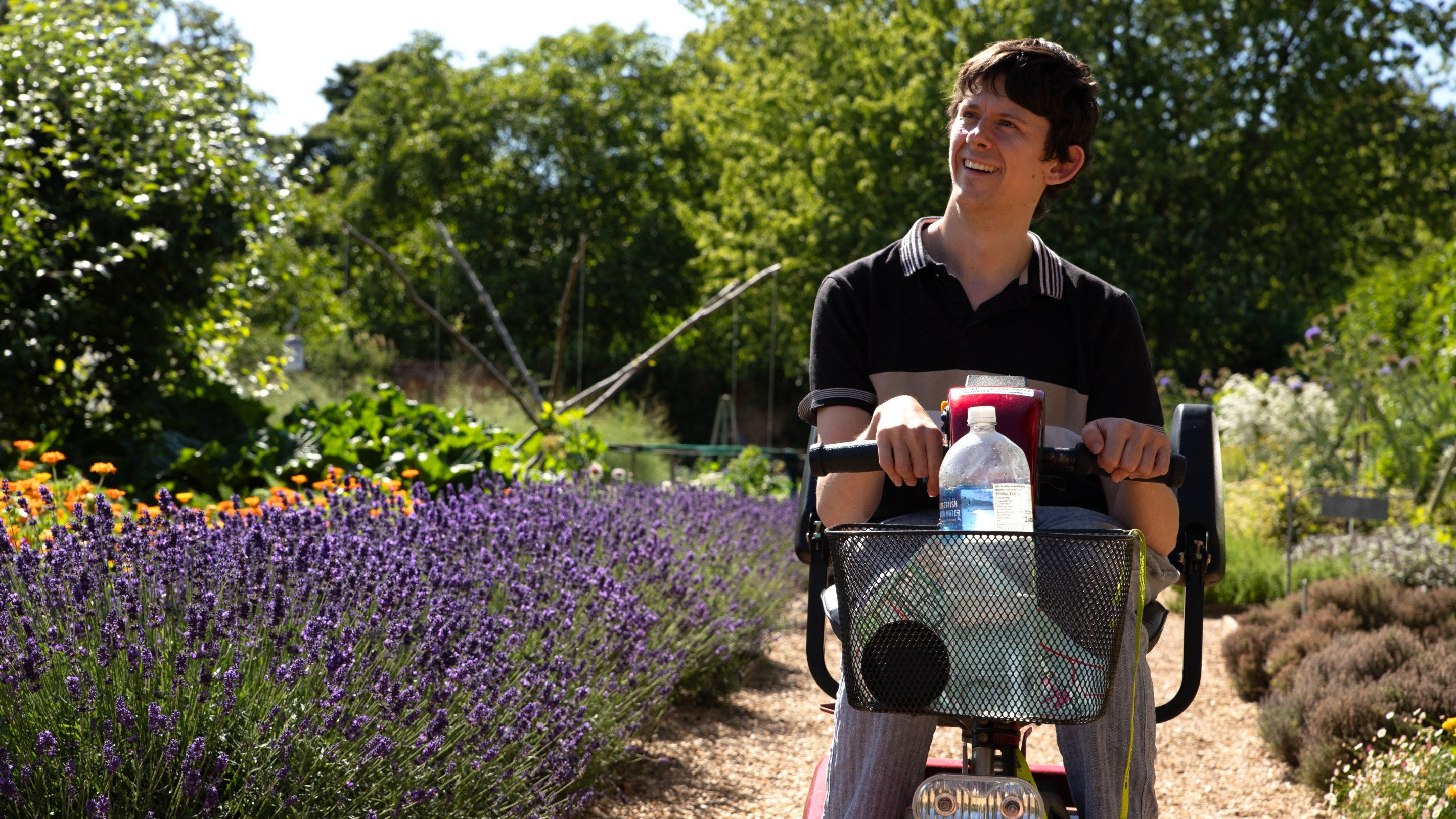 Visitor using a mobility scooter on a garden path bordered by lavender and colourful flowers in Felbrigg’s Walled Garden.