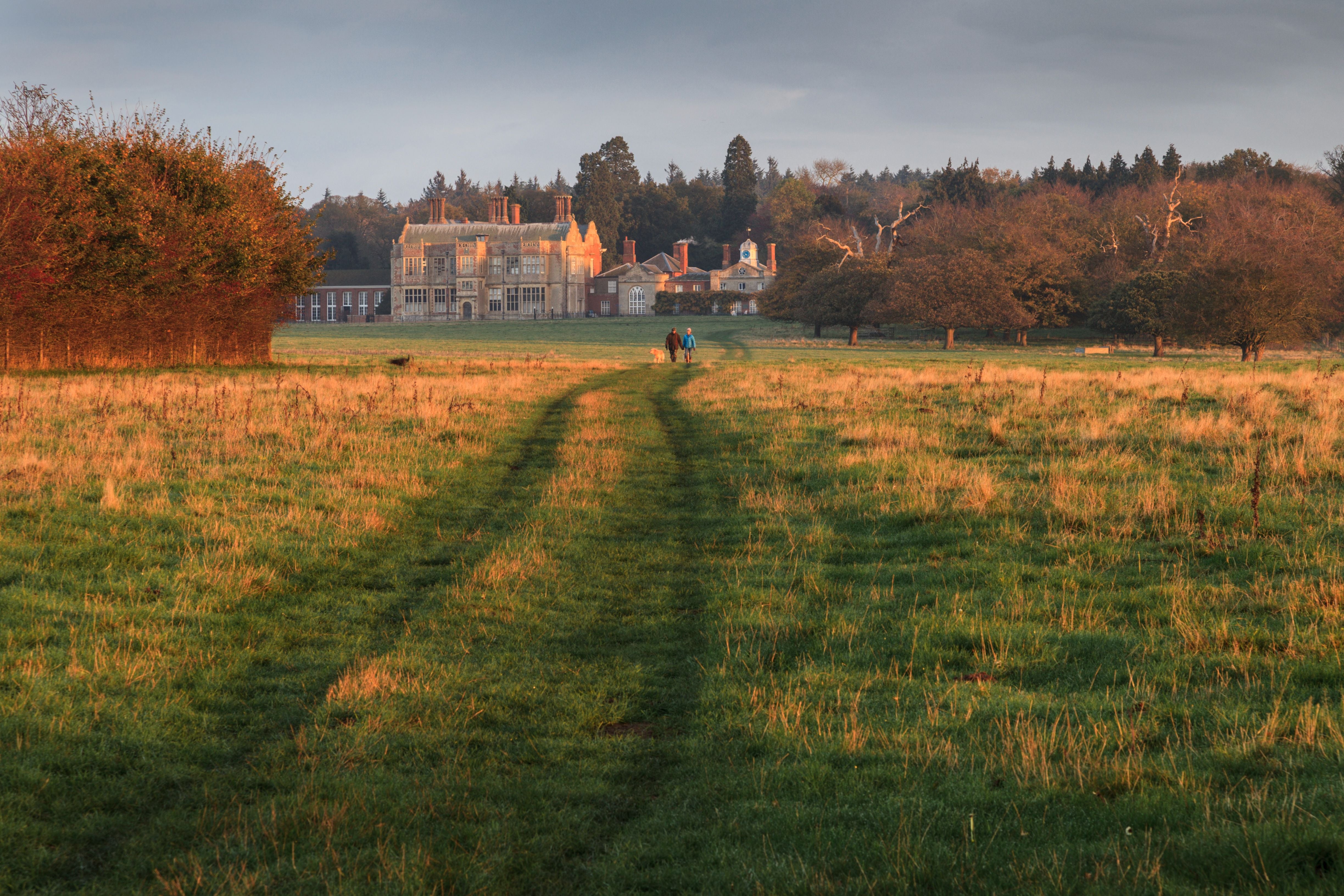 Felbrigg Autumn
