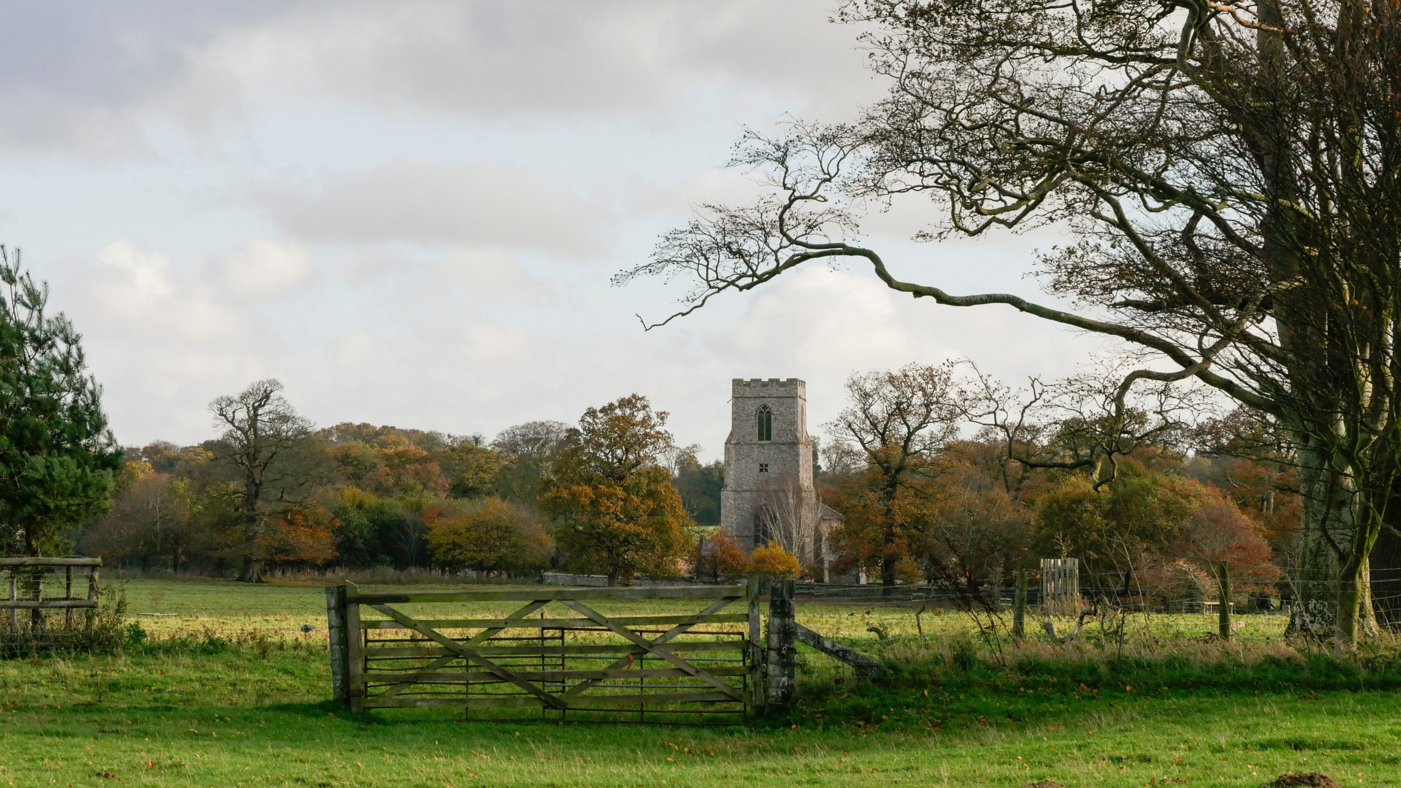 A rural autumn landscape with a wooden farm gate opening onto a grassy field. In the distance, a stone church tower rises among trees displaying autumn colours. Large, trees frame the scene, while a cloudy sky casts soft light across the countryside.