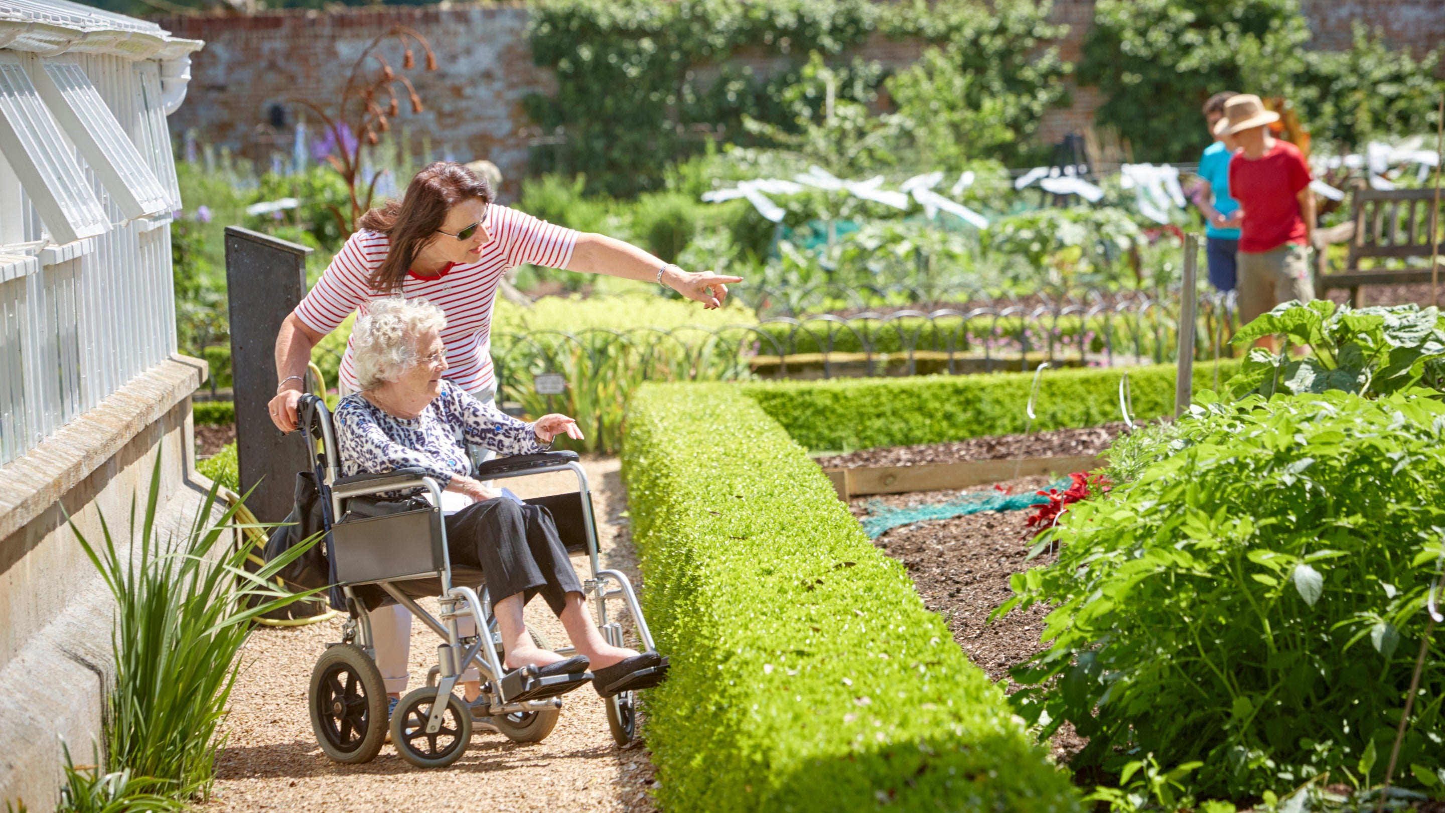 A visitor in a wheelchair is accompanied along a level gravel path in Felbrigg’s Walled Garden, with accessible views across raised planting beds, hedges and vegetable crops.