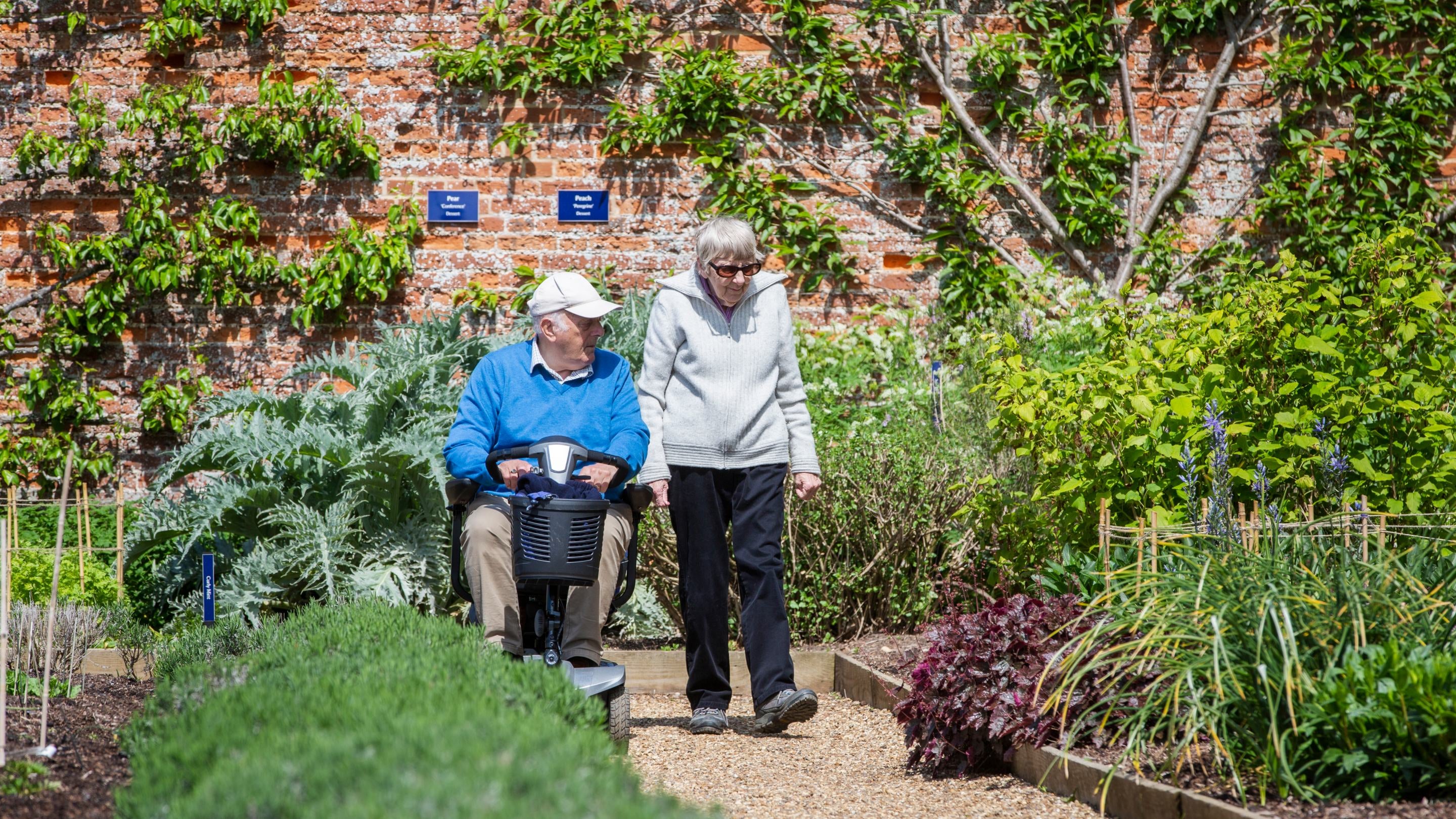A mobility scooter user and a companion move along a level gravel path in Felbrigg’s Walled Garden, with raised planting beds and fruit trees growing against a brick wall in the background.