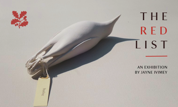 a poster style graphic of a bird sculpture by Jayne Ivimey. The sculpture is a porcelain clay bird, unglazed. The text reads 'The Red List'