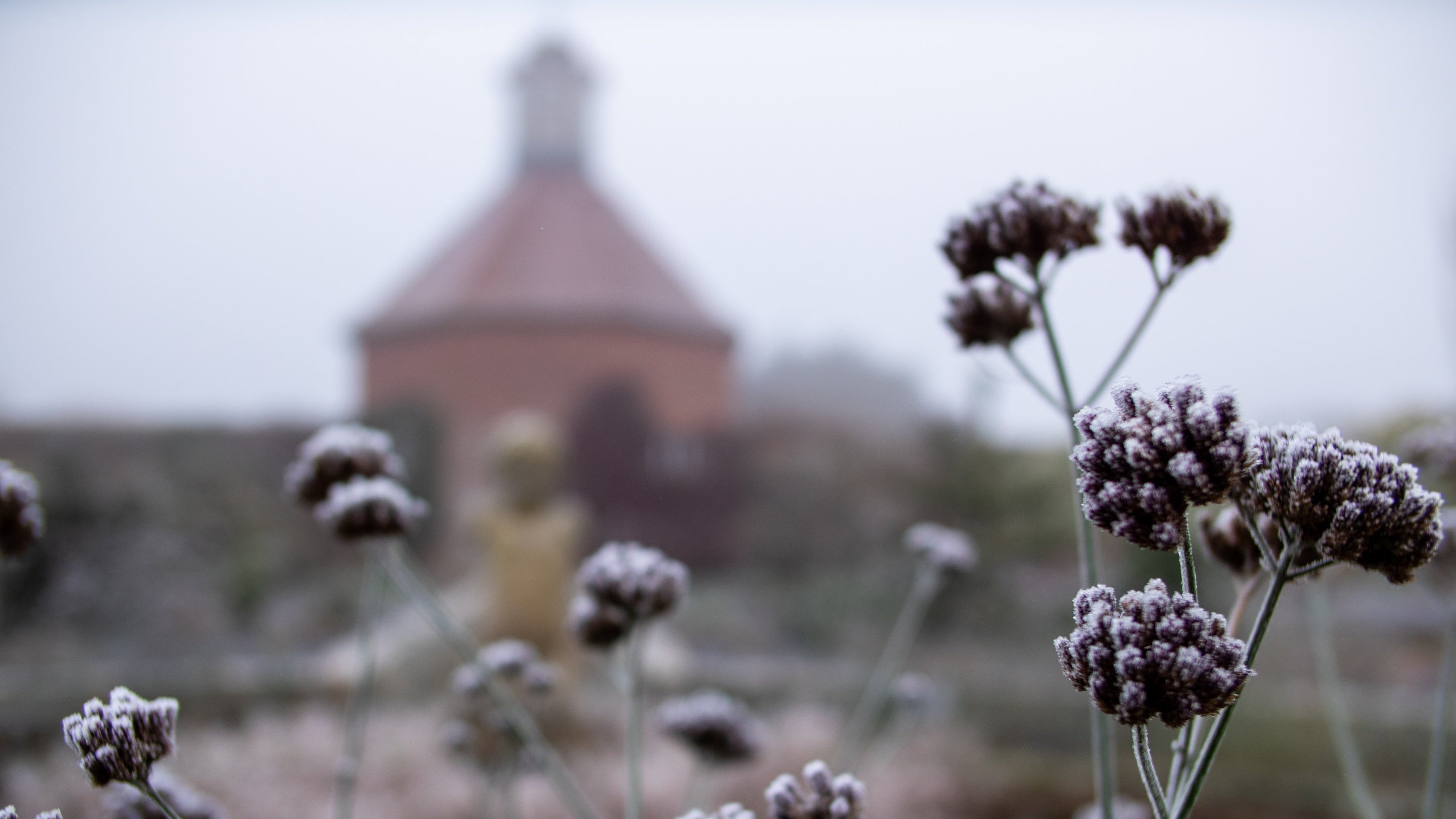 Frost-covered plants in the Walled Garden, with a red-brick dovecote in the background on a misty winter morning.