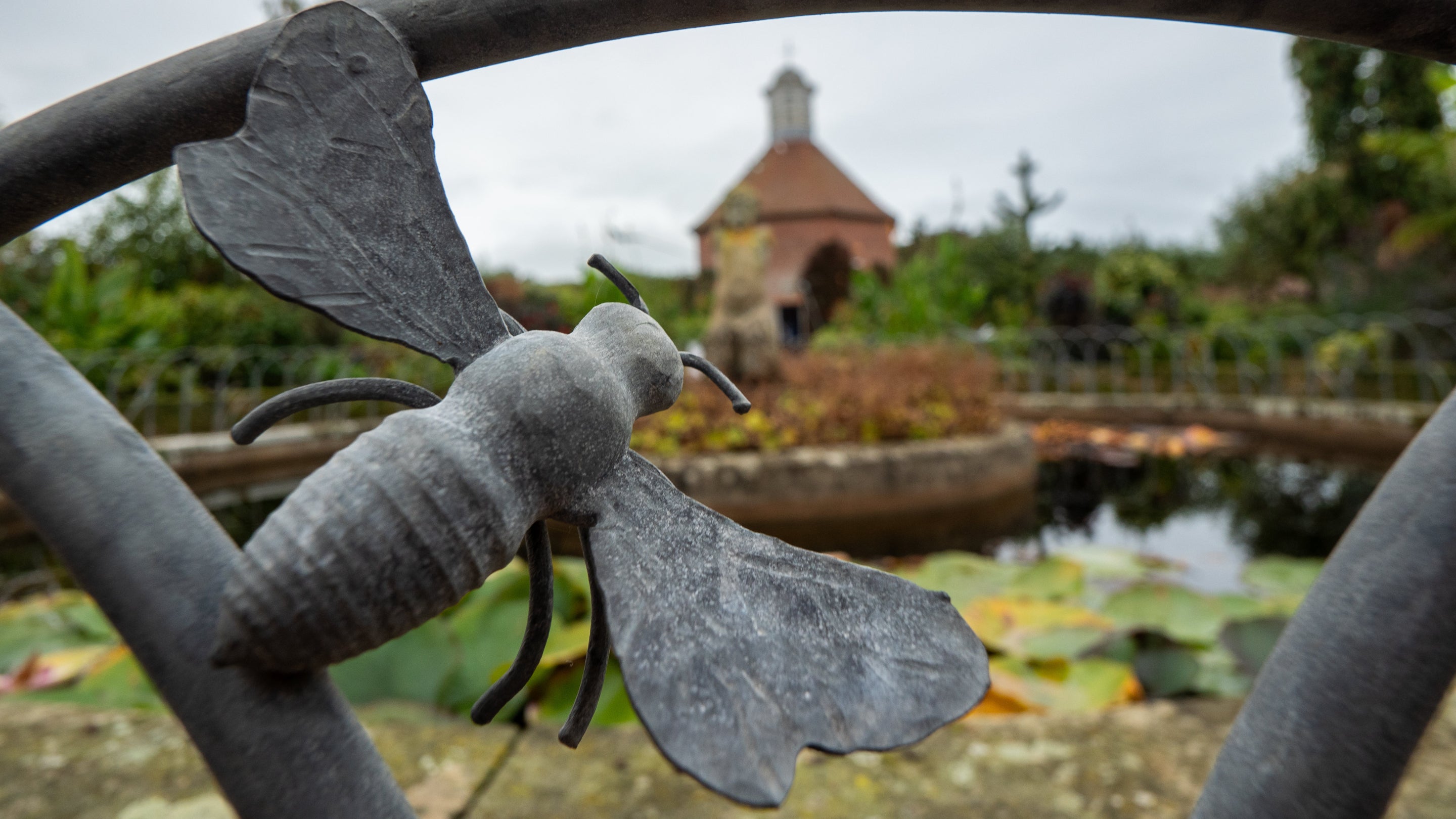 A close up of a galvanised steel metal bee by Toby Winterbourn with the lily pond in Felbrigg's Walled Garden in teh background.
