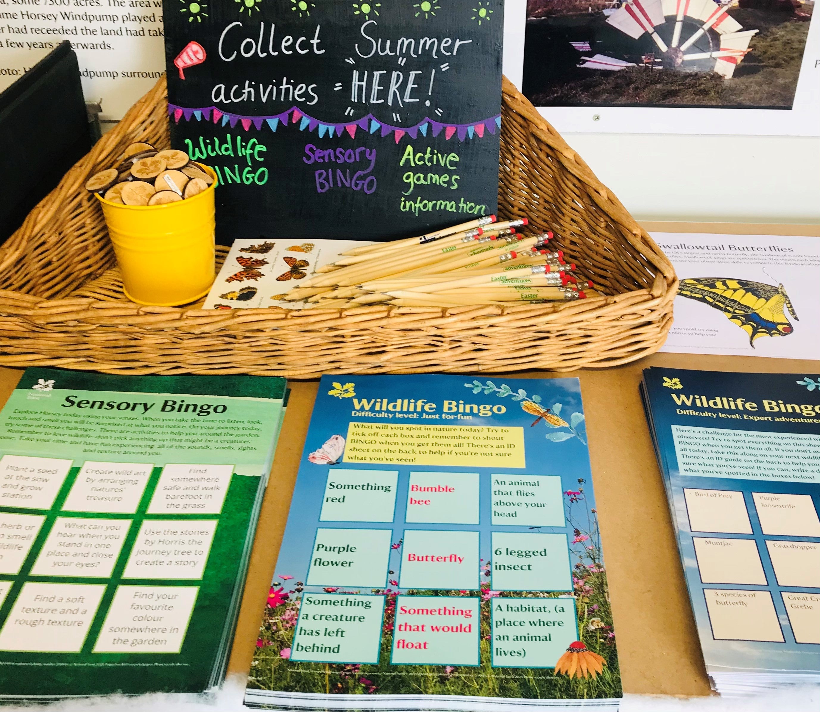 A selection of wildlife bingo spotter sheets for children