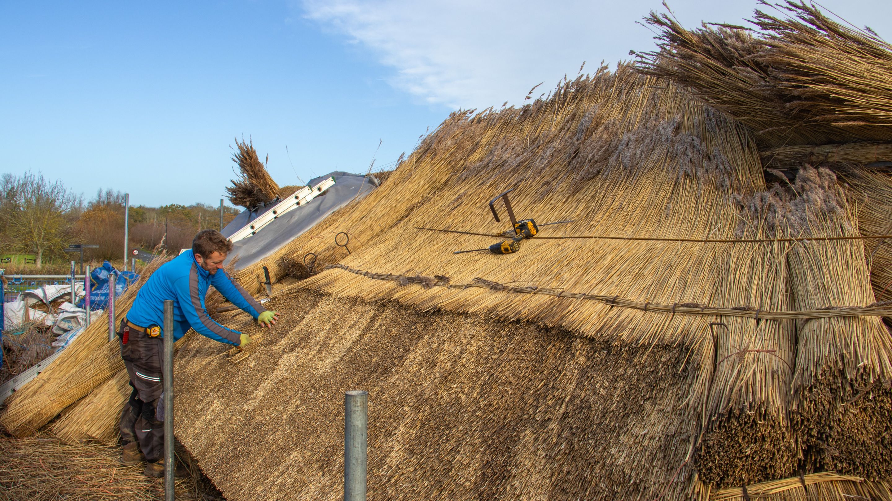 A rooftop view of the thatching work in progress on the staithe side of the roof, with the thatcher adjusting the placement of a section of reeds.