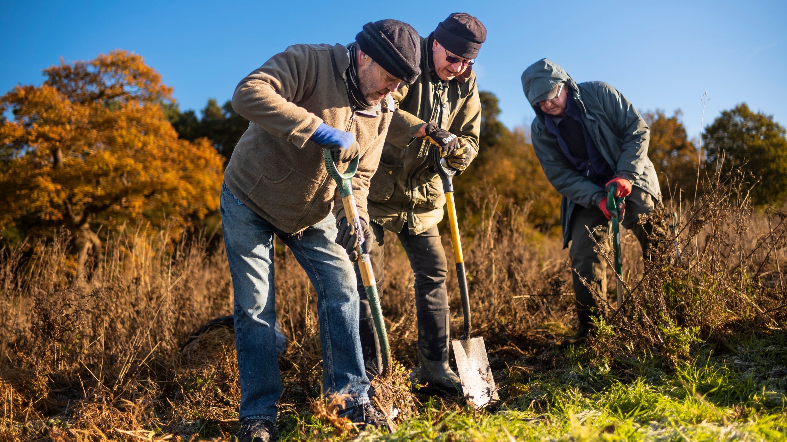 Volunteers planting trees as part of the Parkland Project at Oxburgh Hall