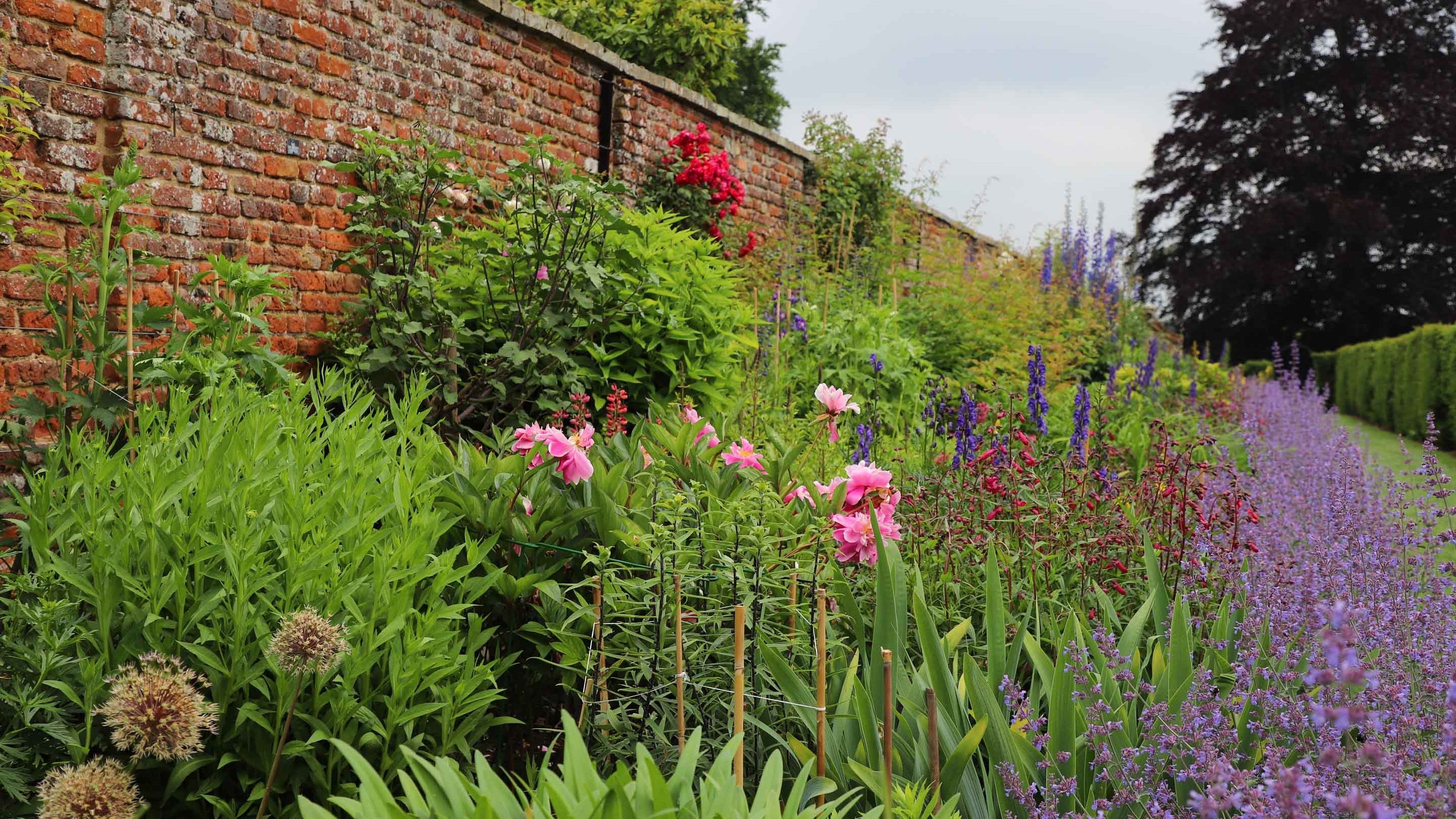 The herbaceous border at Oxburgh Hall, Norfolk