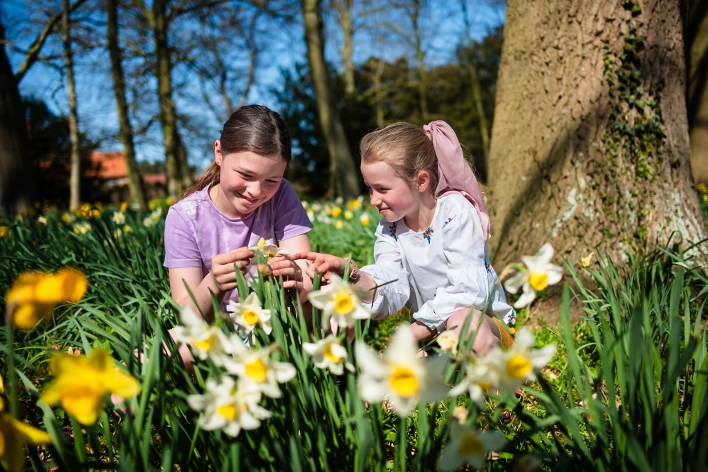 Two primary school age girls sit amongst the spring flowers at Oxburgh Estate in Norfolk. The sun is shining and they are smiling and looking at a flower